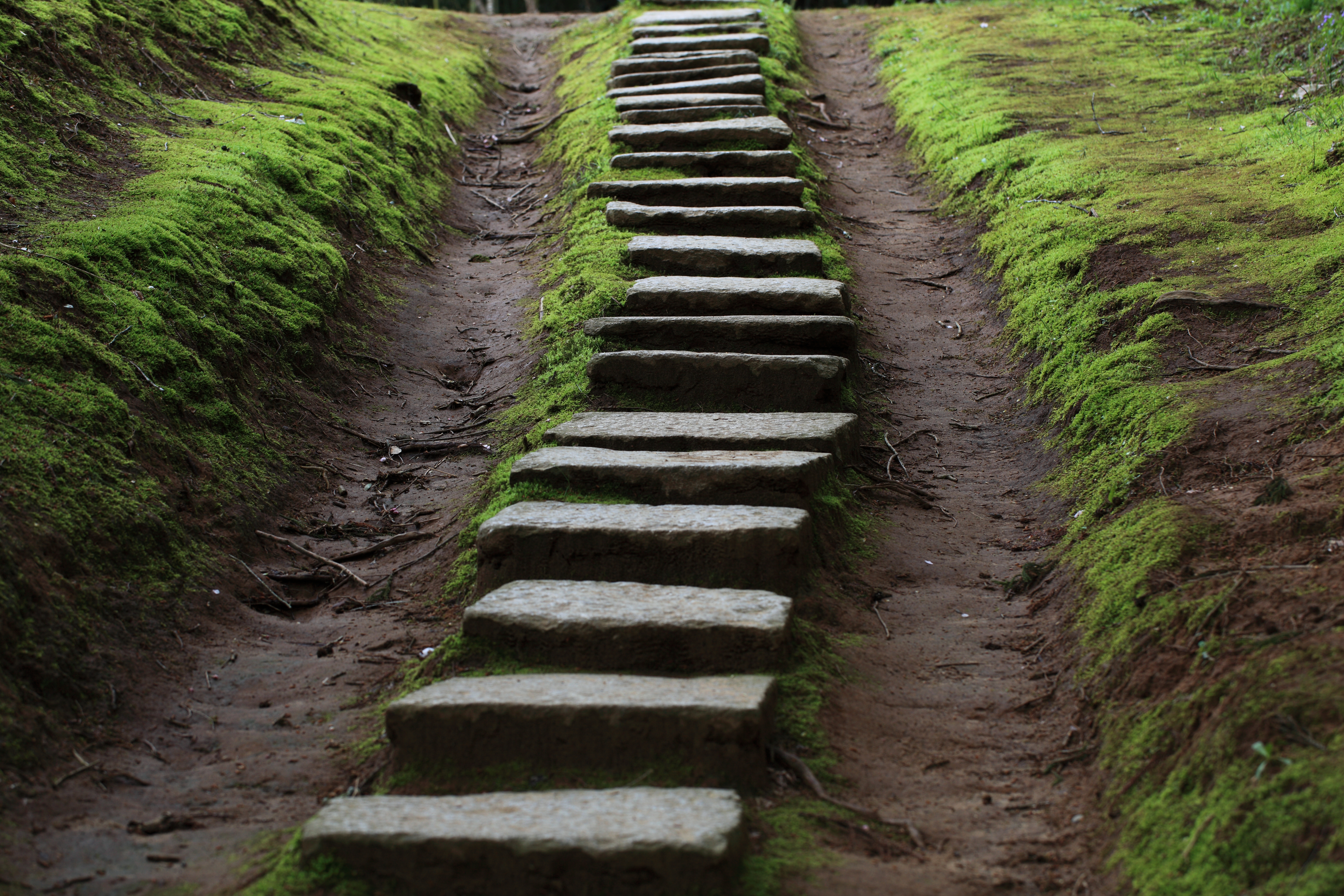 Path to Katori Shrine, Katori, Chiba, Japan.