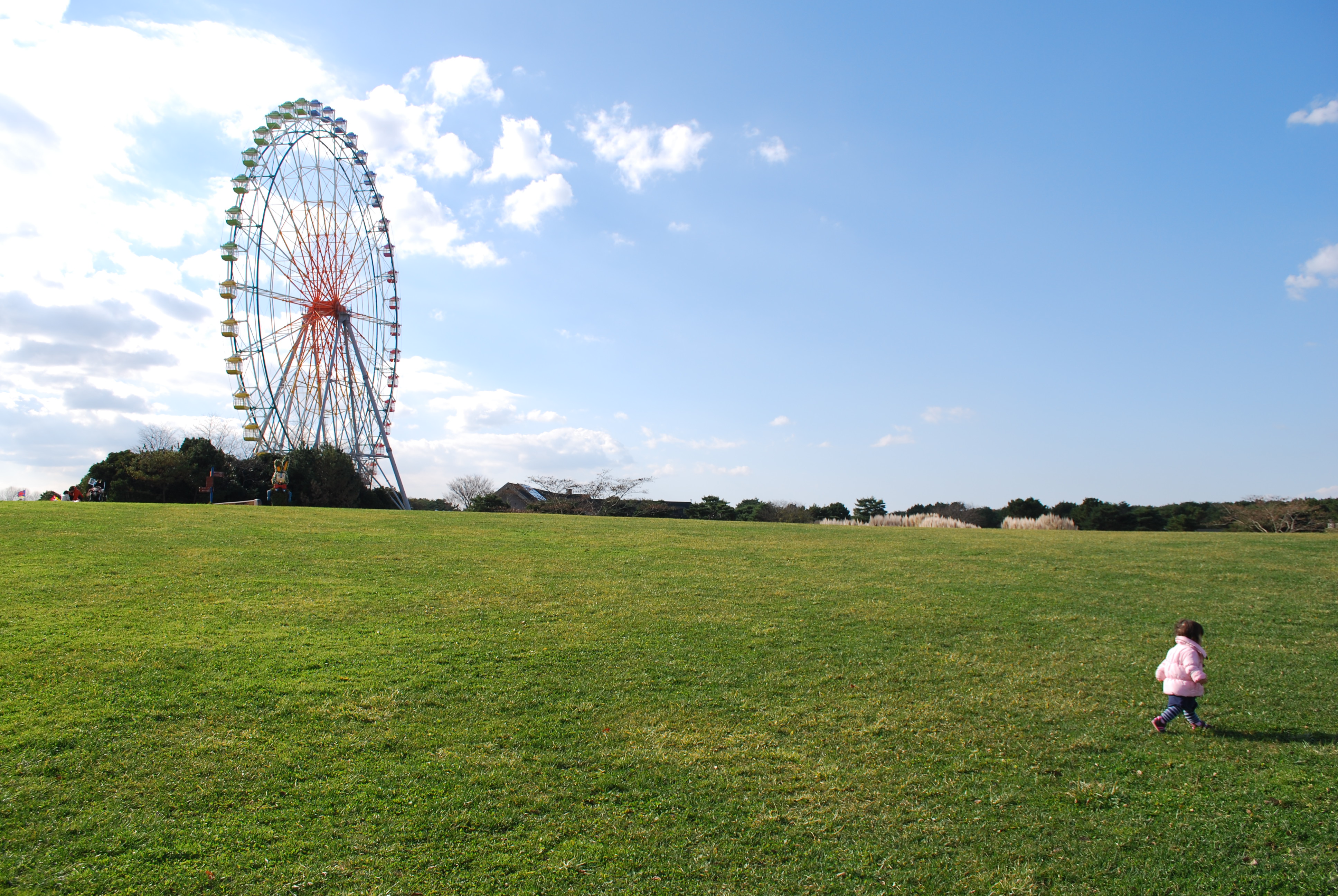 Ferris wheel at the Hitachi Seaside Park in Hitachinaka, Ibaraki, Japan