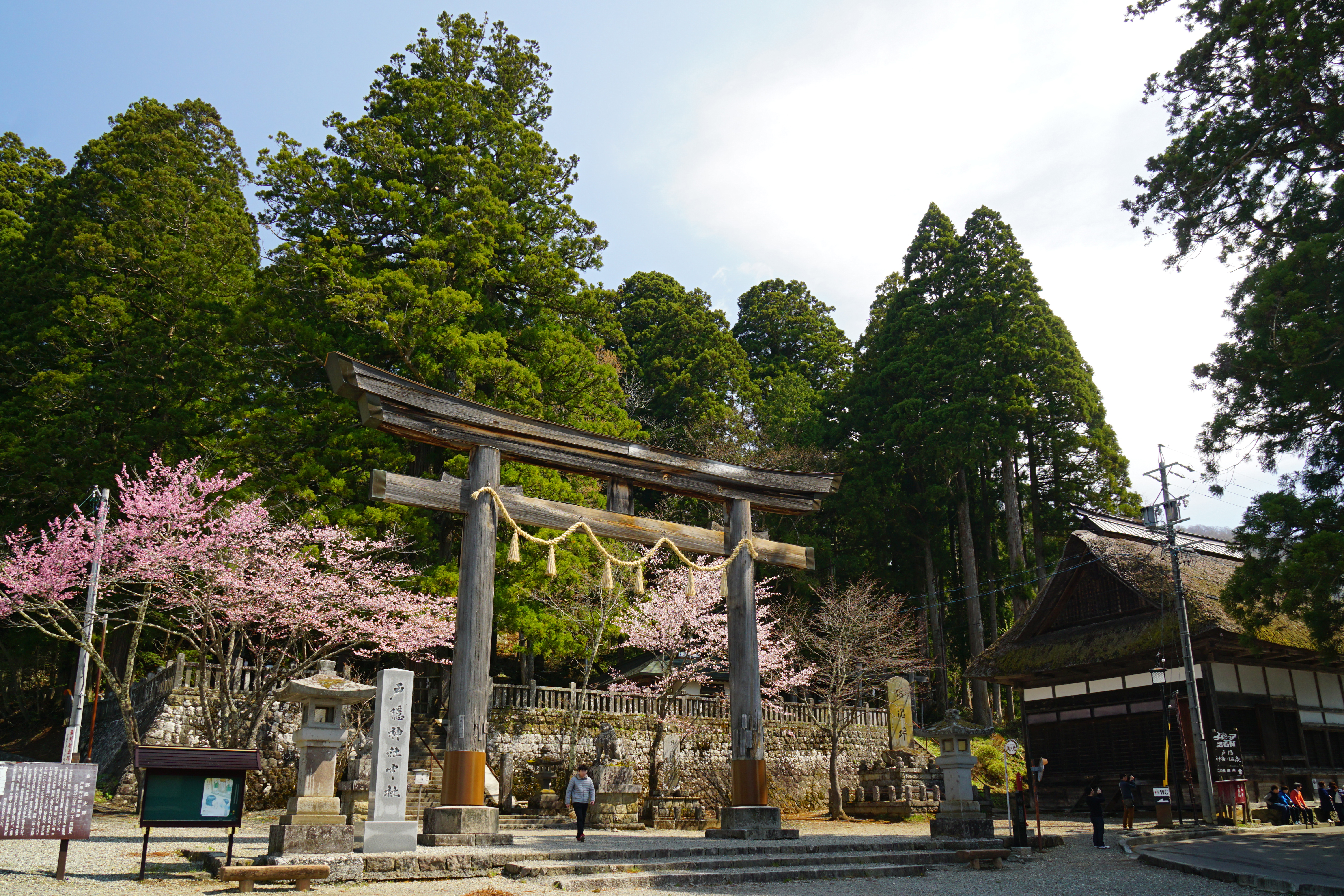 Togakushi Shrine Chū-sha in Nagano, Nagano prefecture, Japan.