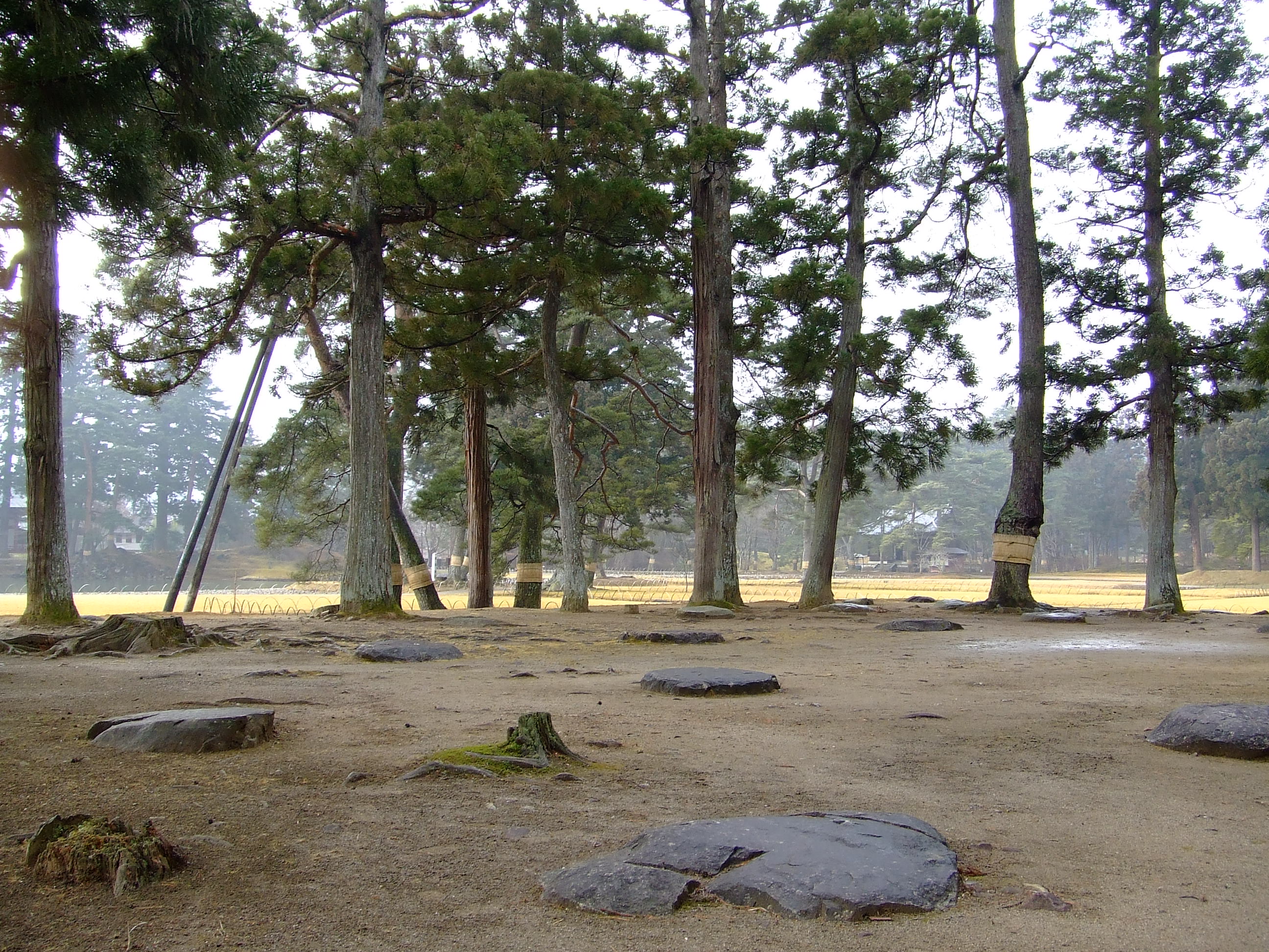 Ruins of Kondō Enryū-ji (the former main hall) at Mōtsū-ji Temple in Hiraizumi, Iwate Prefecture, Japan.