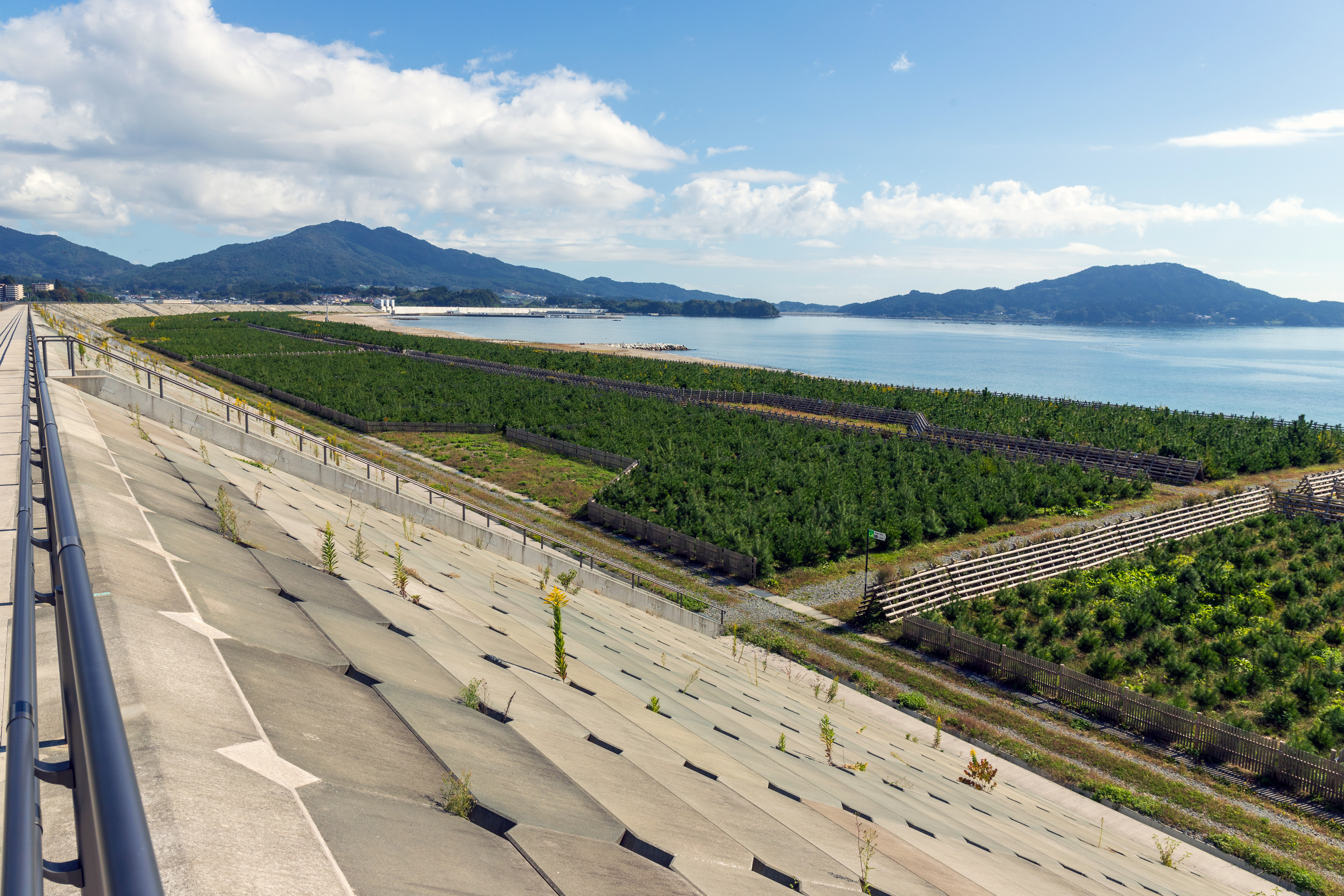 Takata Matsubara (Takata Pine Forest) in Rikuzentakata City, Iwate, Japan, that have been reforested after suffering a severe damage caused by the 2011 Great East Japan Earthquake and its tsunami