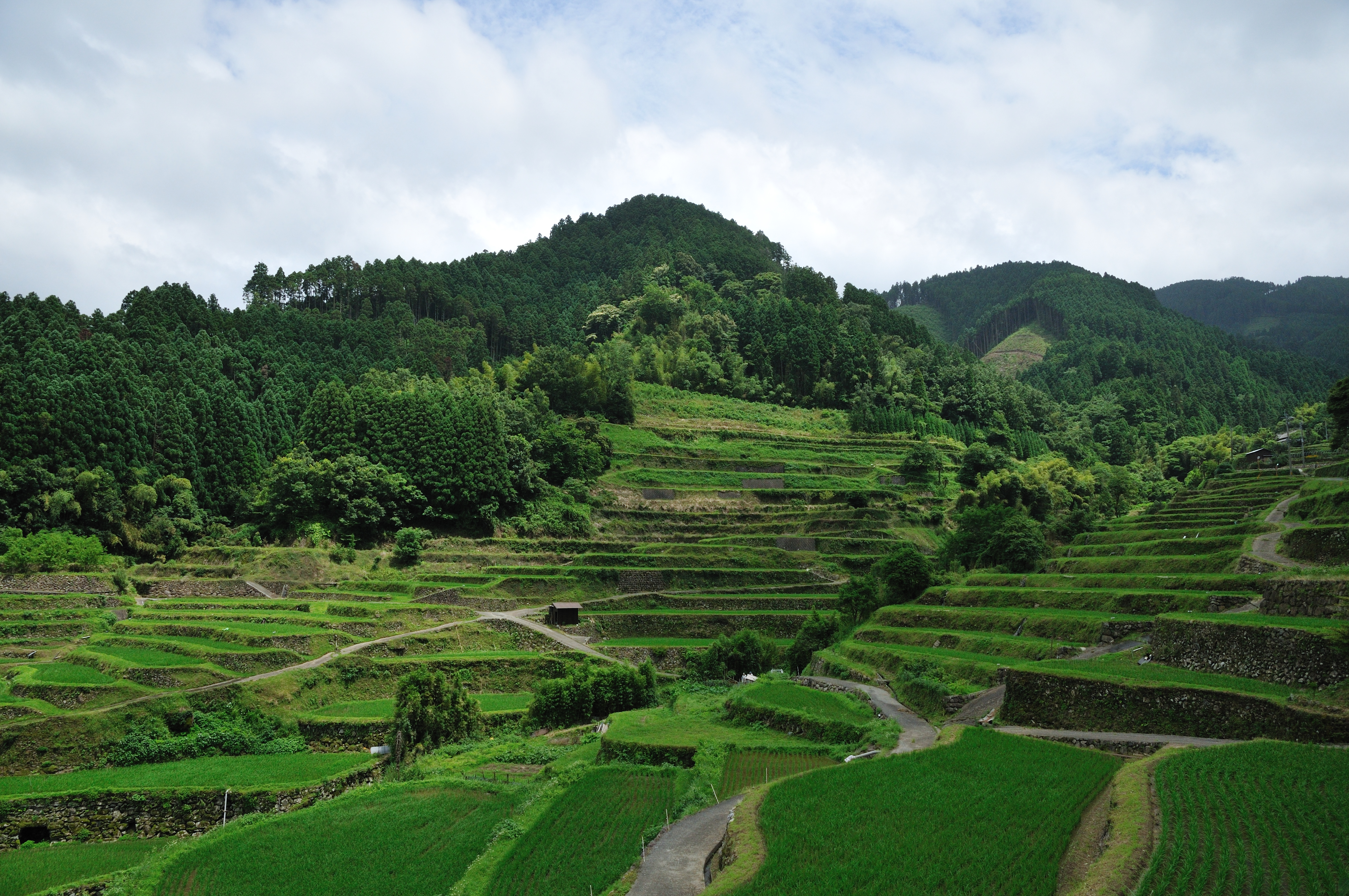Tsuzura rice terrace in Ukiha, Fukuoka, Japan.