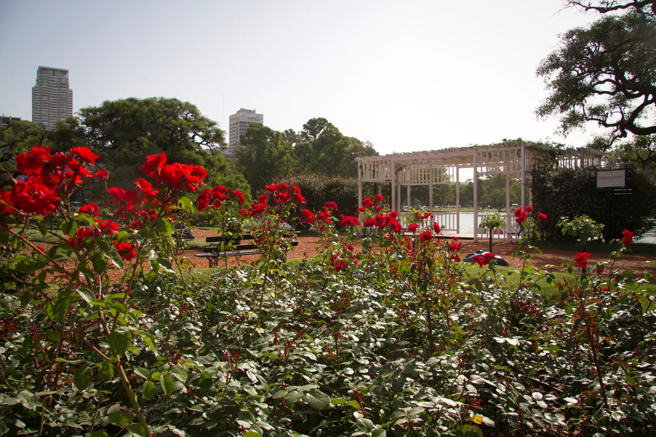 El Rosedal es el corazón del Parque Tres de Febrero. ( Foto: Estrella Herrera)