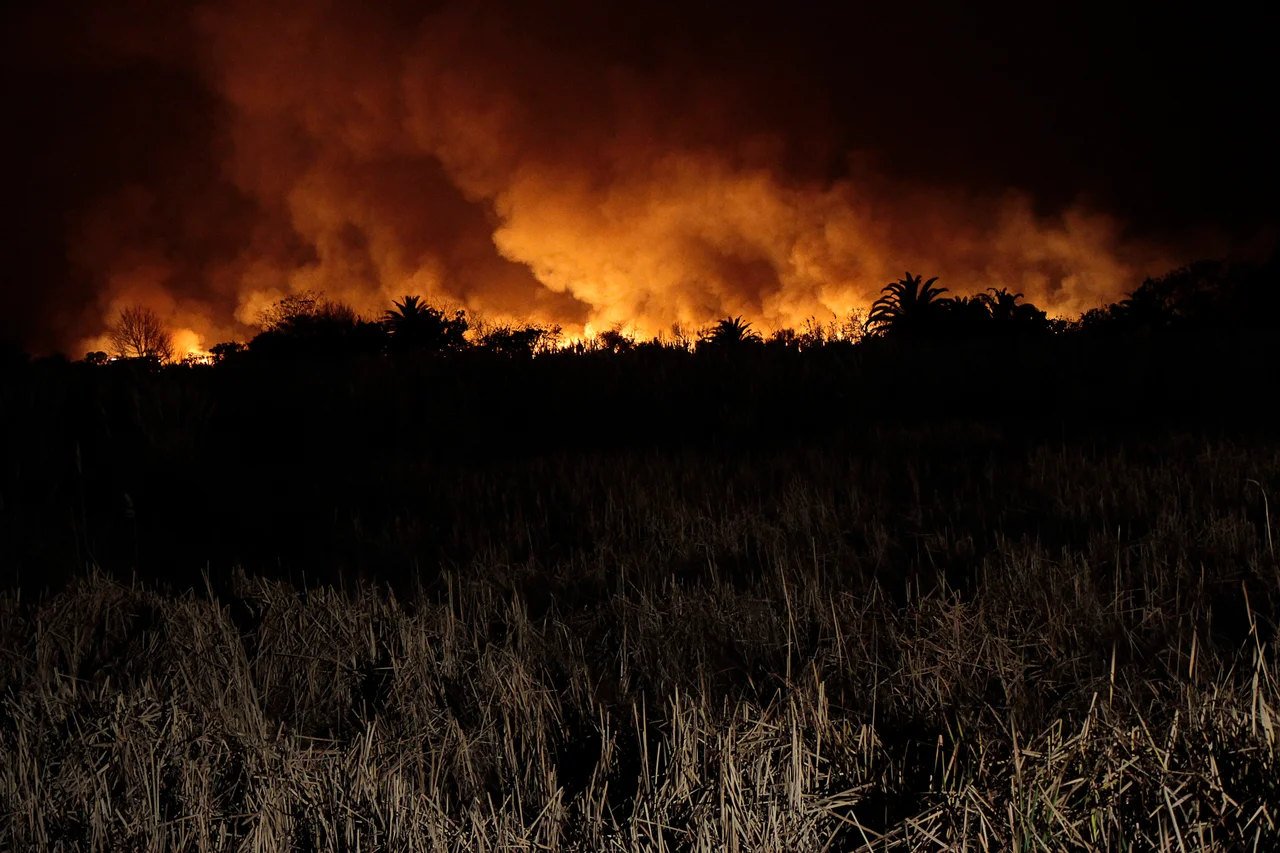 Buenos Aires. Julio 31 de 2013.- El jefe de Gobierno de la Ciudad de Buenos Aires, Mauricio Macri, Estuvo hoy observando de cerca las tareas que se realizaron para sofocar el incendio que se desató en la Reserva Ecológica.
Foto: Nahuel Padrevecchi/GCBA