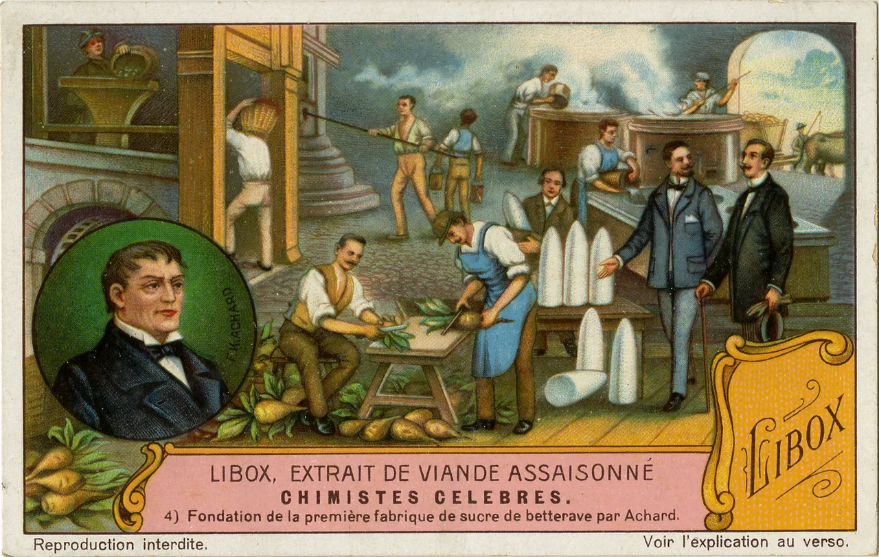 French trading card for Véritable Extrait de viande Liebig (Real Liebig Meat Extract) depicting Frédéric-Charles Achard
Main image depicts the multiple steps in a manufacturing process going from bottom left to bottom right to top left; there is a circular inset of Archer on the left side. Extensive text on verso
Front:
"LIBOX, EXTRAIT DE VIANDE ASSAISONNÉ / CHIMISTES CELEBRES. / 4) Fondation de la première fabrique de sucre de betterave par Achard / Reproduction interdite / Voir l'explication au verso"
LIBOX, SEASONED BEEF EXTRACT 
FAMOUS CHEMISTS.
4) Establishment of the first beet sugar factory by Achard
Reproduction prohibited
See explanation on reverse
Verso:
"Chez nous chaque diner est un festin, / depuis que nous cuisinons avec Libox, l'Extrait de Viande assai- / sonné de la Cie Liebig.  Il donne une saveur exquise à tous les mets, / et répand une odeur appétissante.  Une petit dose suffit pour / rehausser le gout de chaque plat.  Il y a une difference surprenante / entre les mets prepares avec Libox et ceux dépourvus / de ce condiment précieux.
Fondation de la première fabrique de sucre de betterave par Achard. / Le chimiste Marggraf (1709-1782) fut le premier à découvrir qu'on pouvait retirer / du sucre, non seulement de la canne exotique, mais également de certaines plantes / européennes, telles que la betterave.  Son élève Frédéric-Charles Achard (1753-1821) / sut donner une application pratique à cette découverte, en créant à Cunern, avec / l'assistance du Rio, une fabrique de sucre de betterave.  Cet événement fut le point / de depart du développement de l'industrie sucrière  en Europe, où le sucre était très / rare et cher auparavant"
With us every diner is a feast, since we cook with Libox, Extract of Meat Co. seasoning. It gives a great taste every dish, and spread[s] an appetizing smell. A small dose is sufficient to enhance the taste of each dish. There is a surprising difference between the dishes prepared with Libox and those without this precious condiment.

Founding of the first beet sugar factory by Achard. [The] chemist Marggraf (1709-1782) was the first to discover that one could remove the sugar cane not only [from] exotic  [plants] but also [from] some European plants such as beets. His pupil Frederick Charles Achard (1753-1821) knew how to give a practical application of this discovery, by creating Cunern, with the assistance of the King, a beet sugar factory. This event was the starting point for the development of sugar industry in Europe, where sugar was very scarce and expensive.