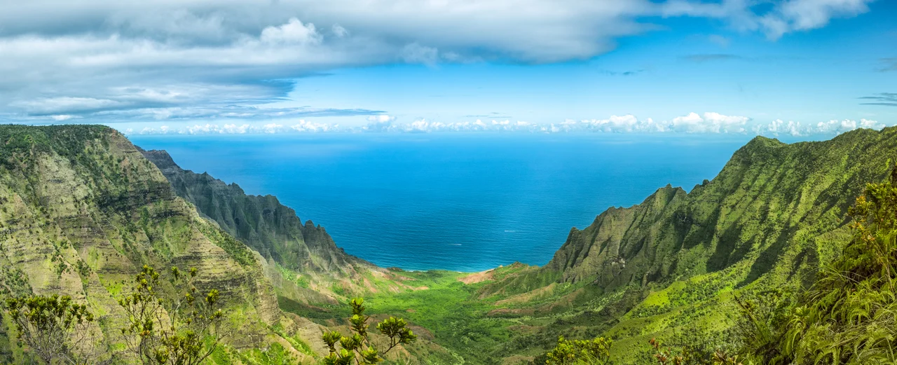 Photographer:  myself, Gh5046
A stitched panorama of the en:Kalalau Valley taken 2007/08/30 from the Na Pali Kona Forest Reserve Pihea Trail in the en:Koke'e State Park in Hawaii.

The photo was stitched from several other photos, cropped and resized, otherwise it is in its original state.