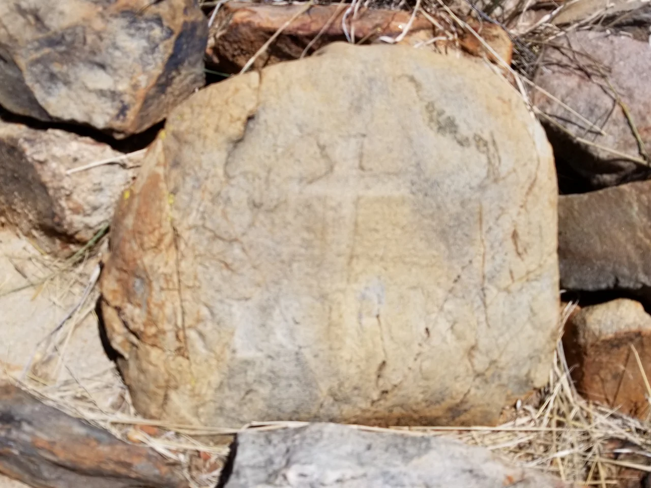 Grave of Pvt. Ricardo(?) at Dragoon Springs