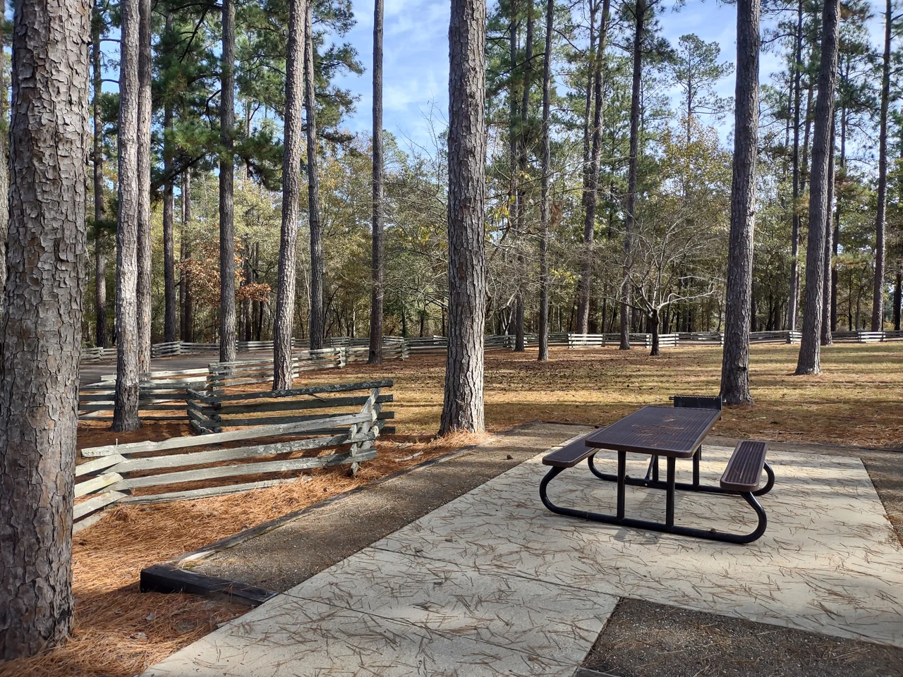 Poison Springs Battlefield State Park in Arkansas USA