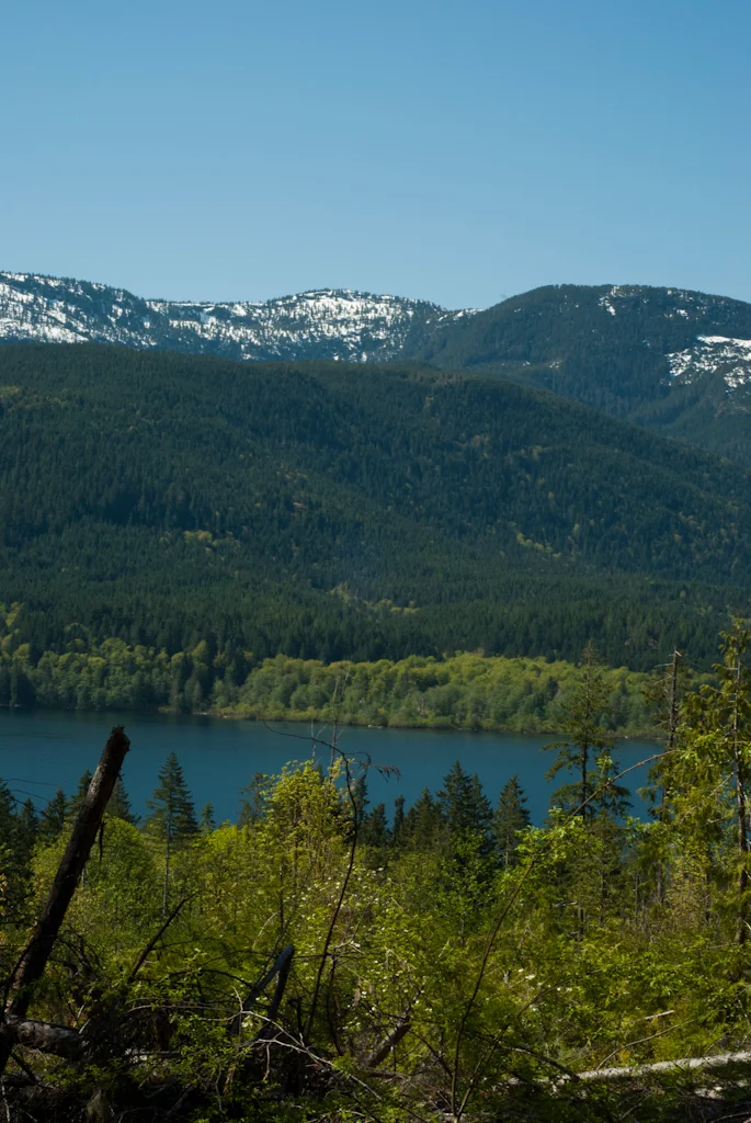 Spotted from one of the many mountain bike trails next to Sproat lake.