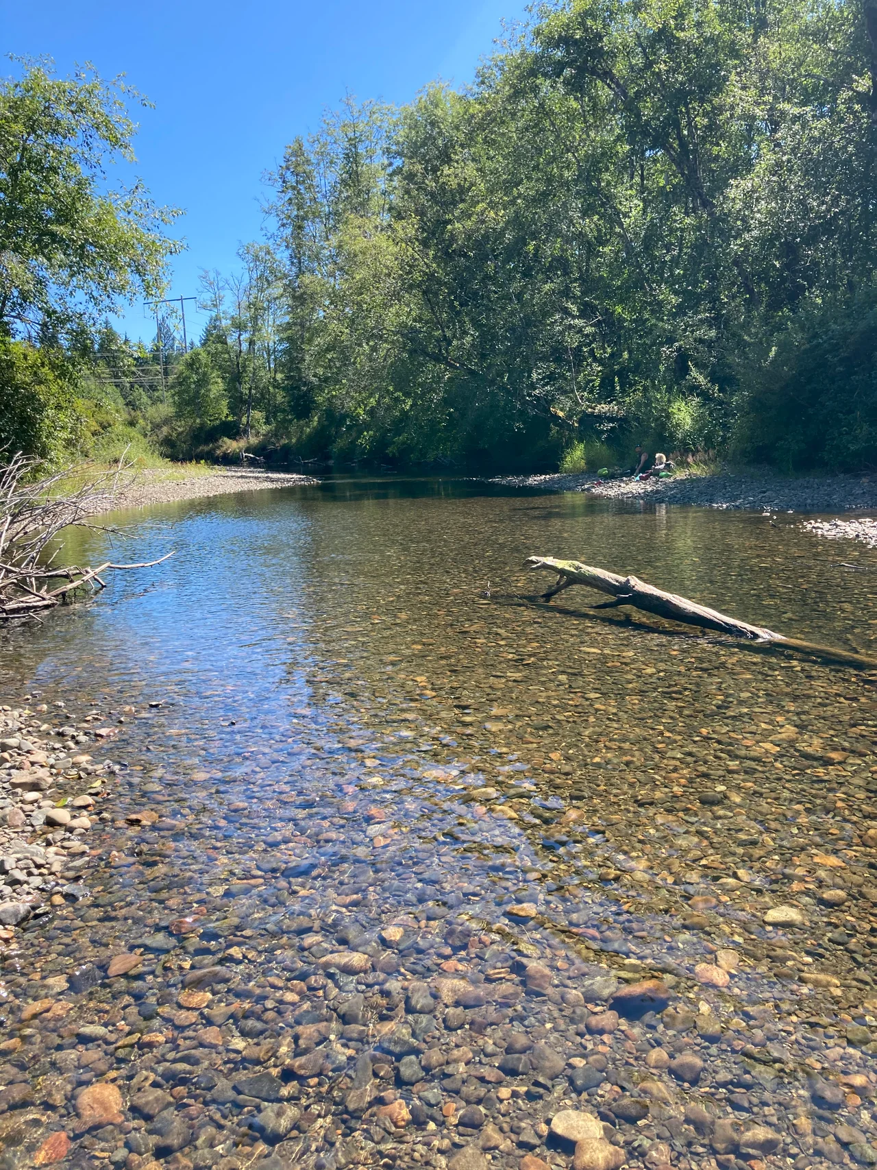 Shows the upper-tsolum river in the summer
