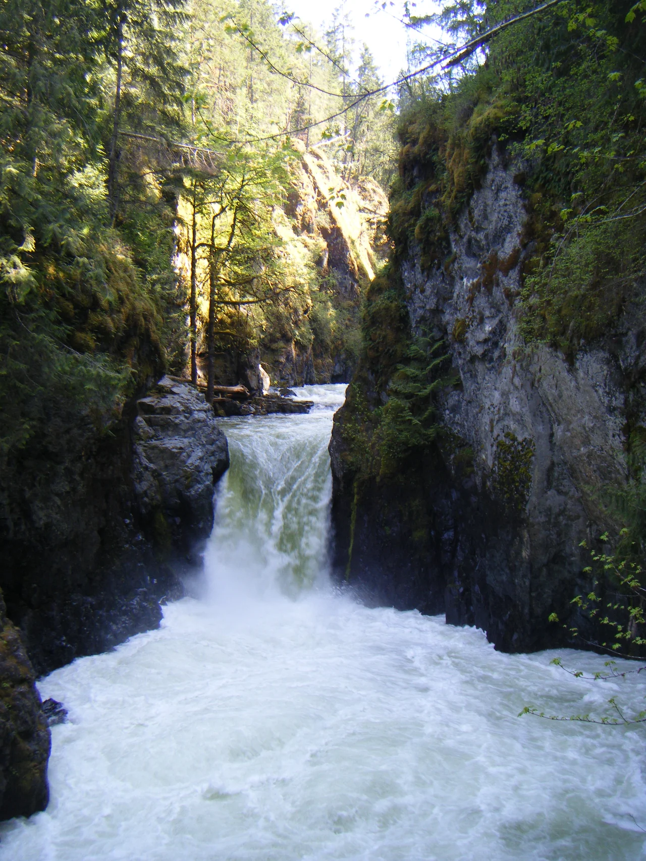 Englishman River Falls, near Errington, Vancouver Island, British Columbia in the BC Provincial Park of the same name.
