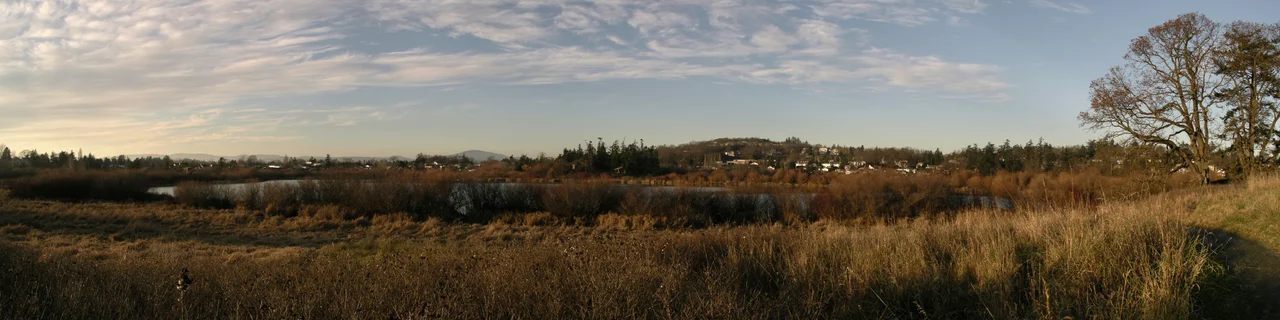 Swan Lake pano.jpg
