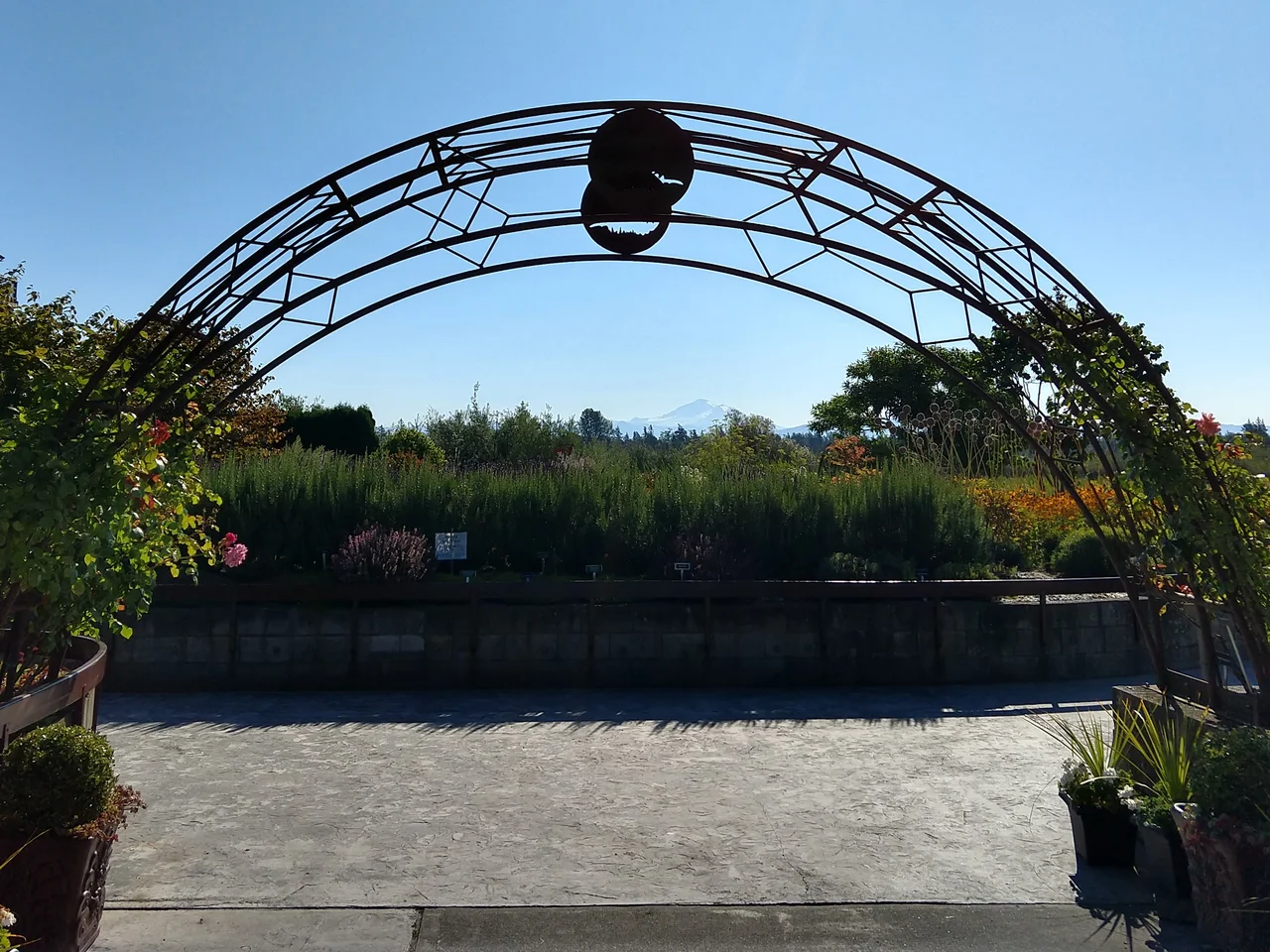 Hovander Homestead Park - Lake Tennant Section - Entrance to Fragrance Garden - August 16, 2020 @ 9:30 AM