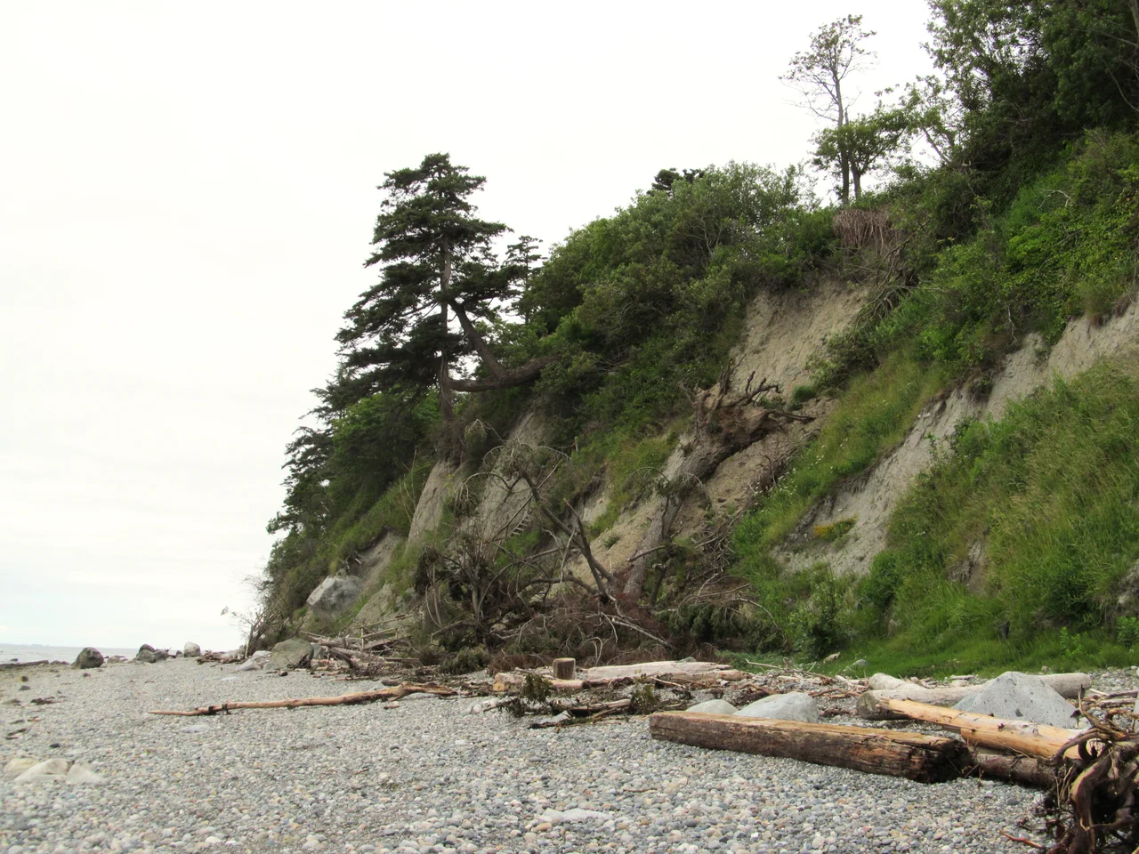 Birch Bay is a popular resort community especially during summer. Because of its location, many people come here for holidays and weekend getaways.