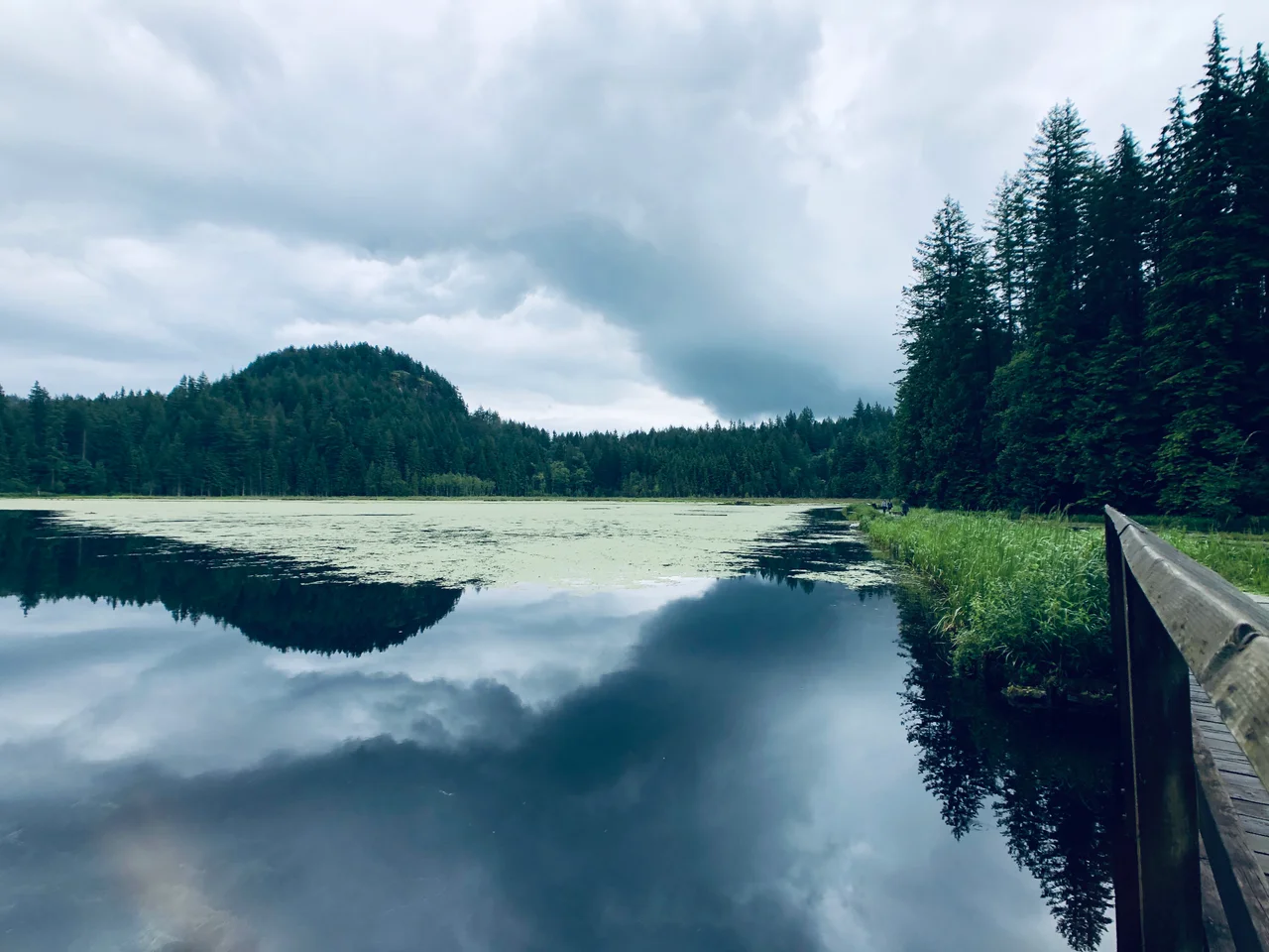 Upper marsh area of Minnekhada Regional Park