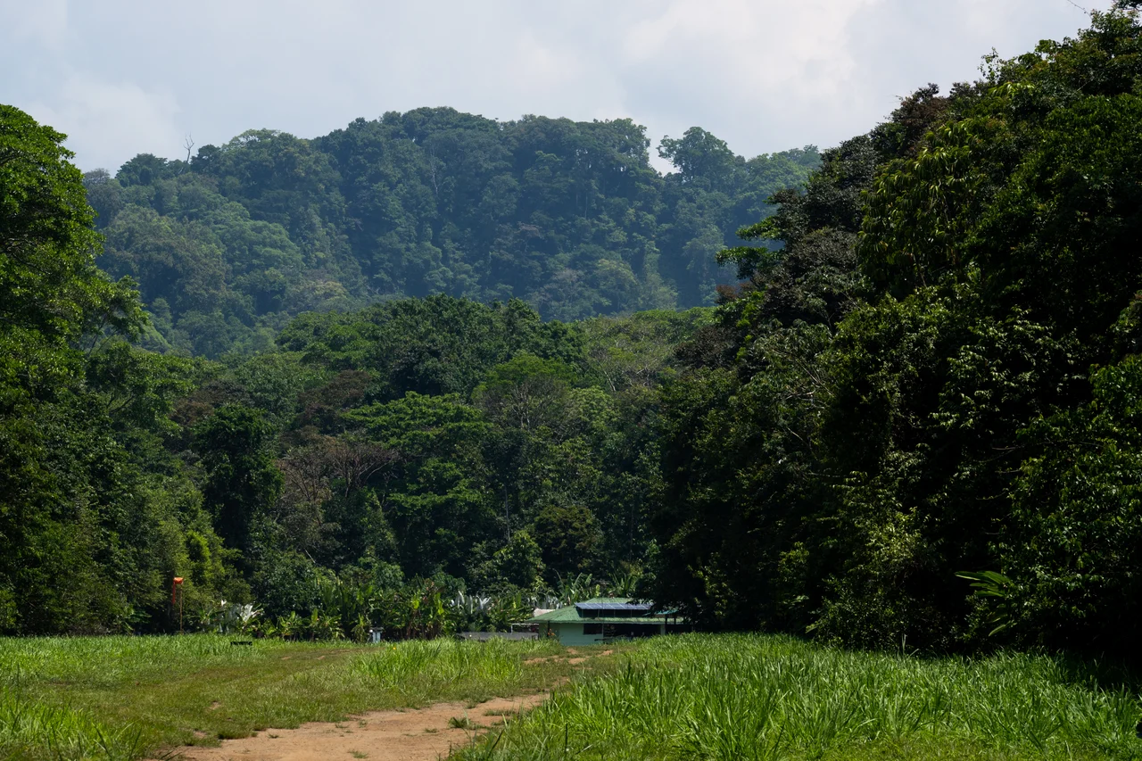 Corcovado National Park is located on the Osa Peninsula, Costa Rica