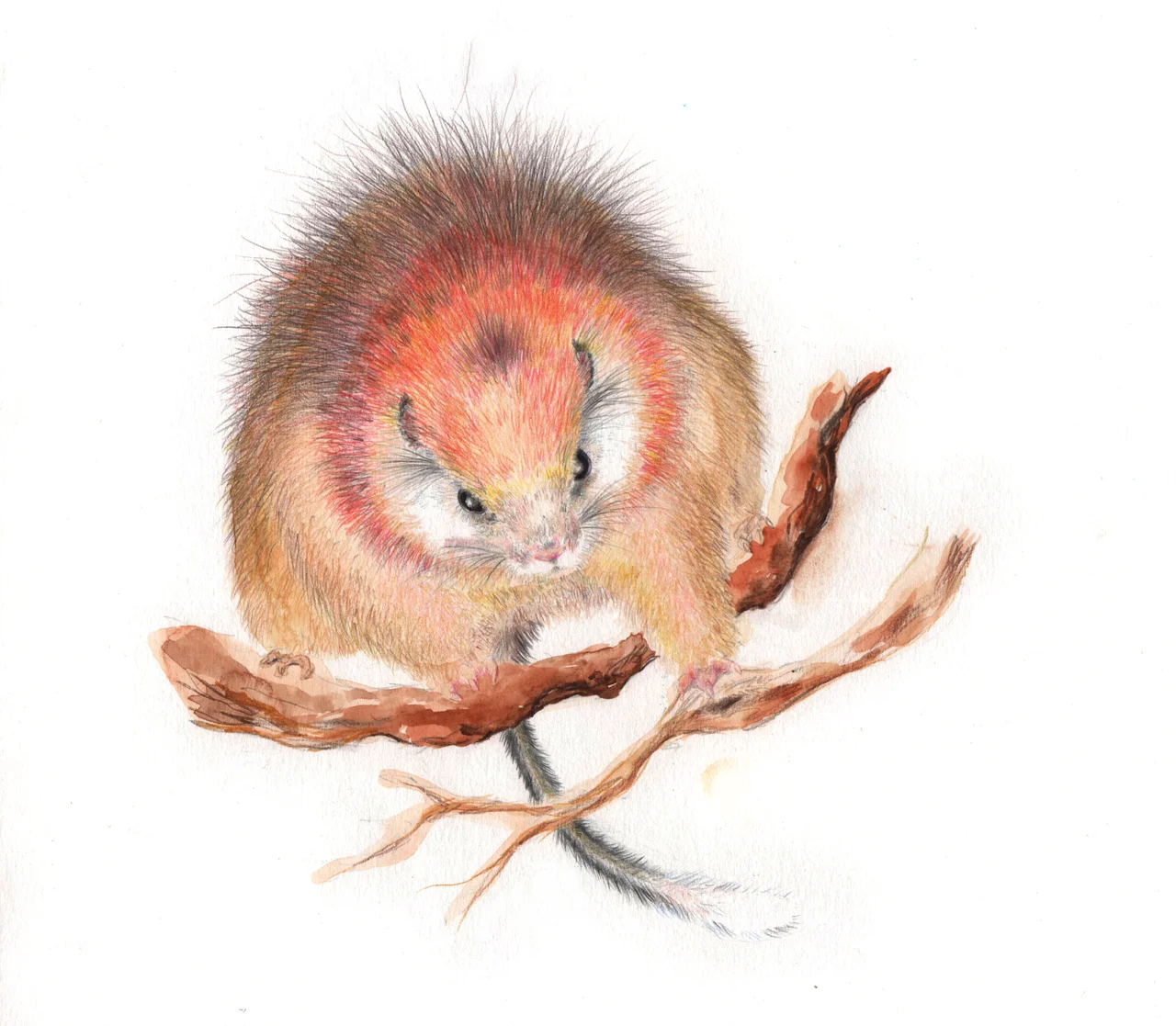 This image was provided to Wikimedia Commons as a contribution
from an art & design school thanks to a collaboration between EASD Pau Gargallo and Amical Wikimedia.