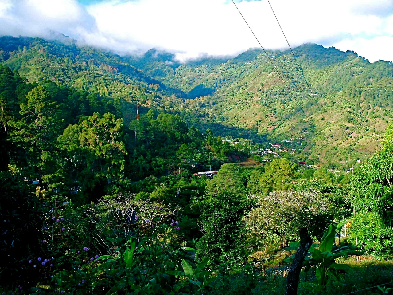 San Juancito, with La Tigra National Park in the background.