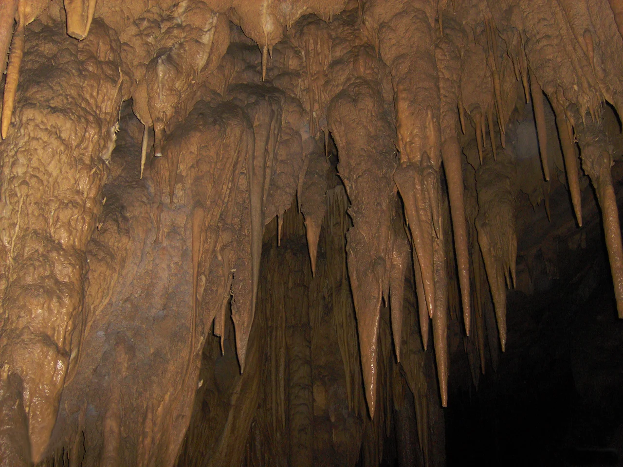 Fotografía tomada desde muy adentro de esta hermosa Cueva.