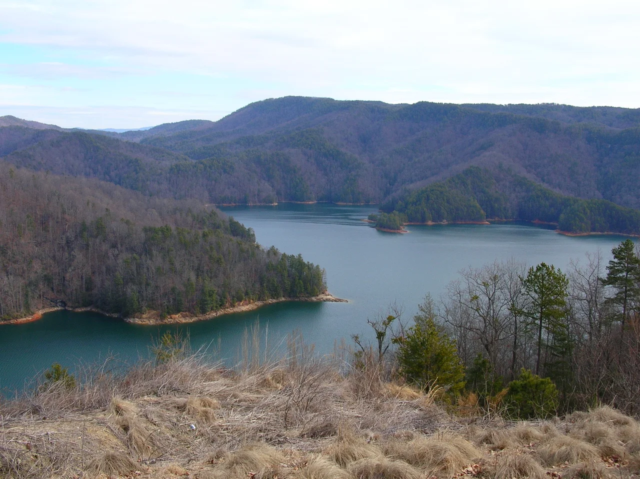 Picture of Lake Jocassee from a look-out tower in the direction of Whitewater River.
