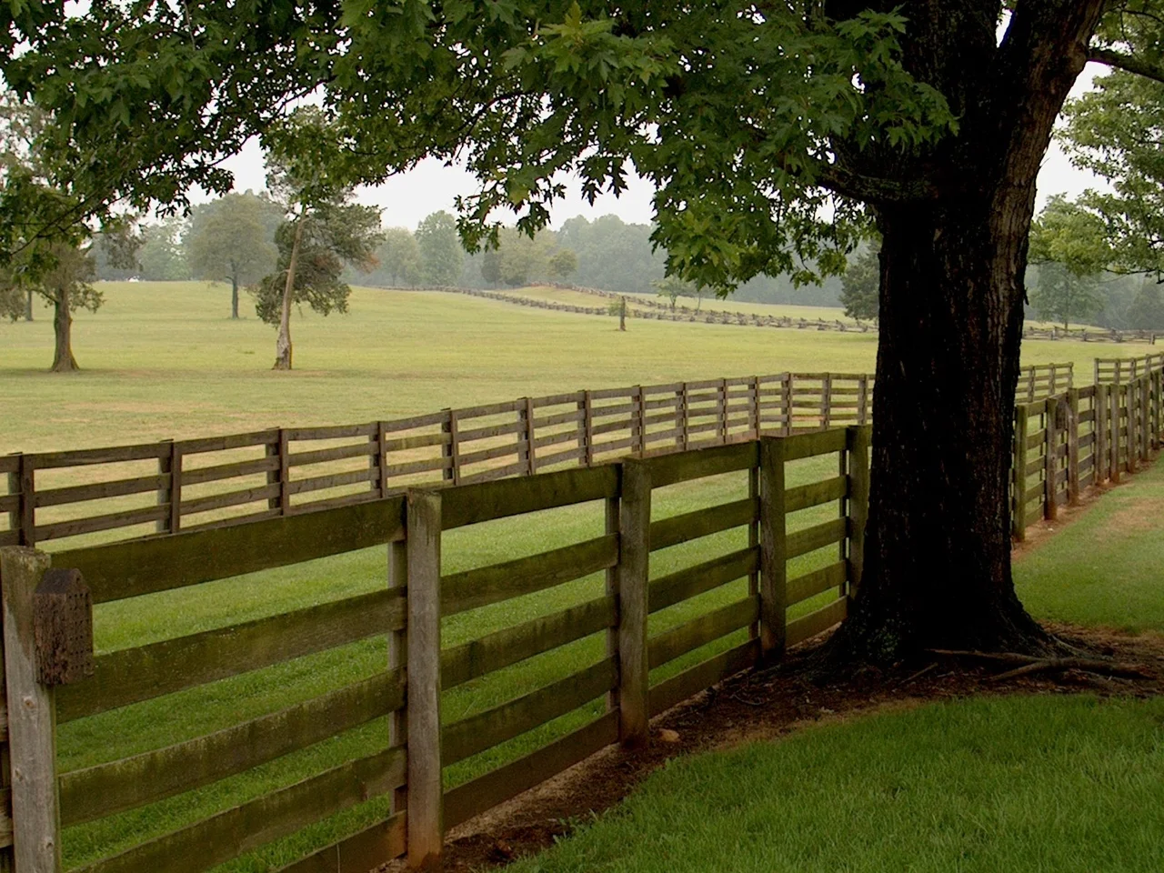 Fields in Appomattox County