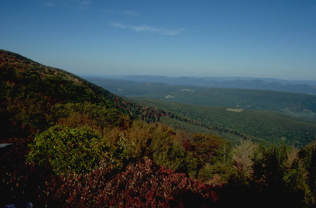 View from Bear Rocks Preserve at Dolly Sods Wilderness Area
