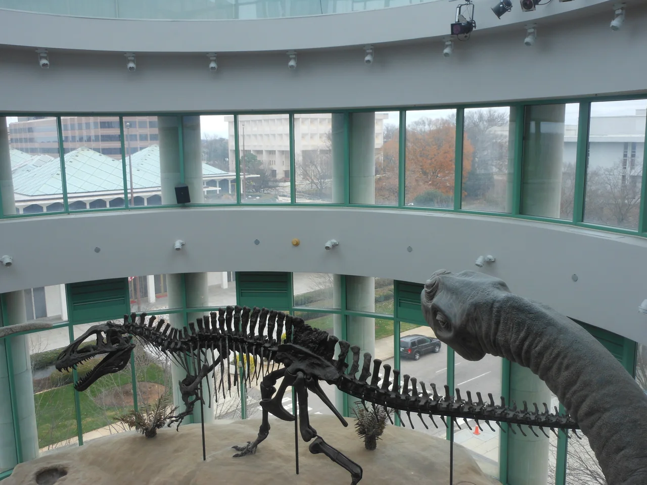 North Carolina Museum of Natural Sciences, Raleigh, North Carolina