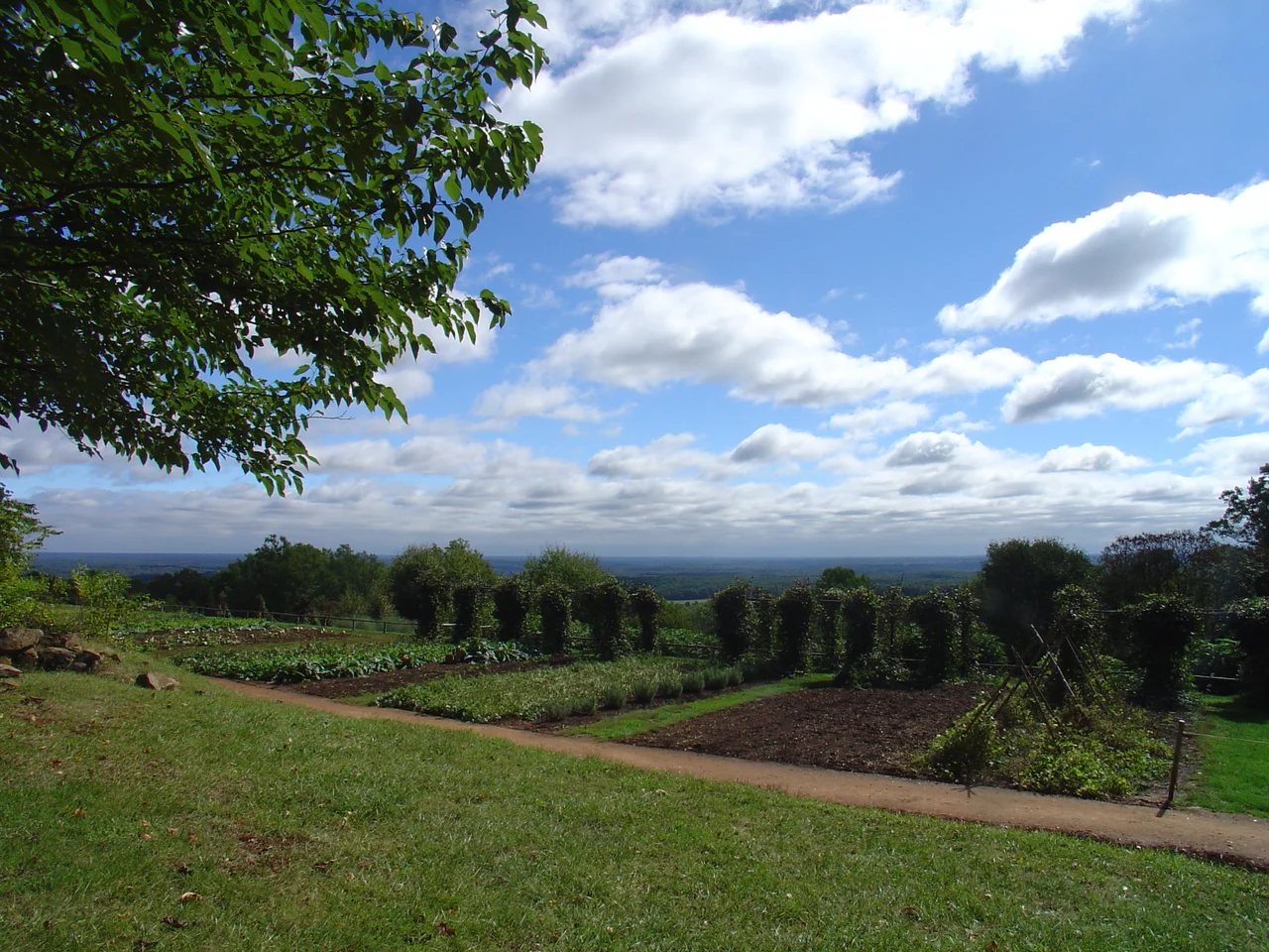 I took this photo in the late summer of 2005 at Monticello. This shows Jefferson's vegetable garden in the foreground with the landscape of Virginia in the valley below.