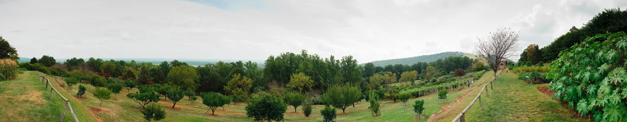 I took this photo in the late summer of 2005 at Monticello. This shows Jefferson's vegetable garden in the foreground with the landscape of Virginia in the valley below.