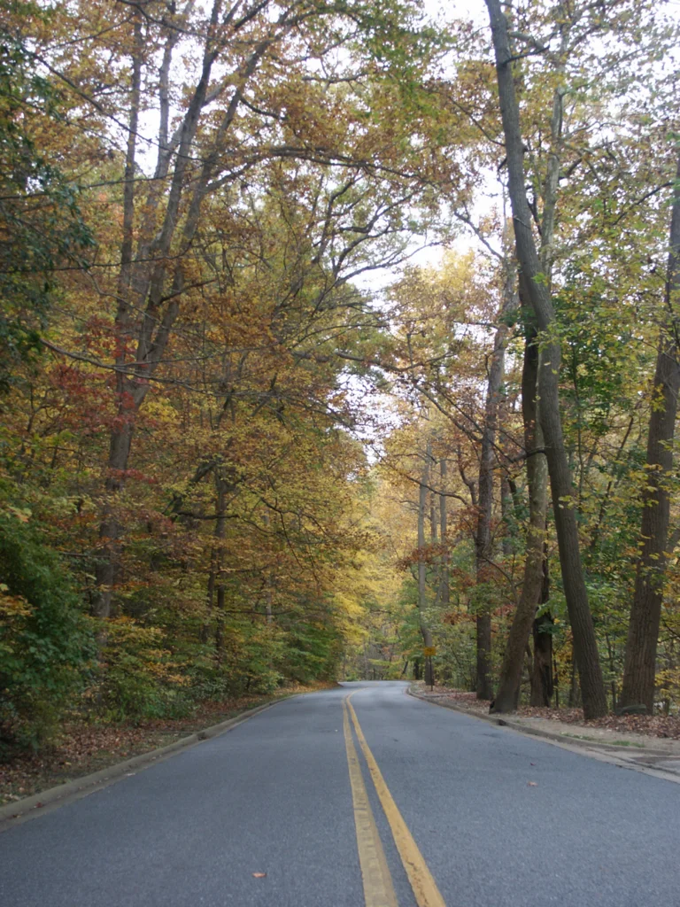 Photo of Beach Drive in Rock Creek Park.