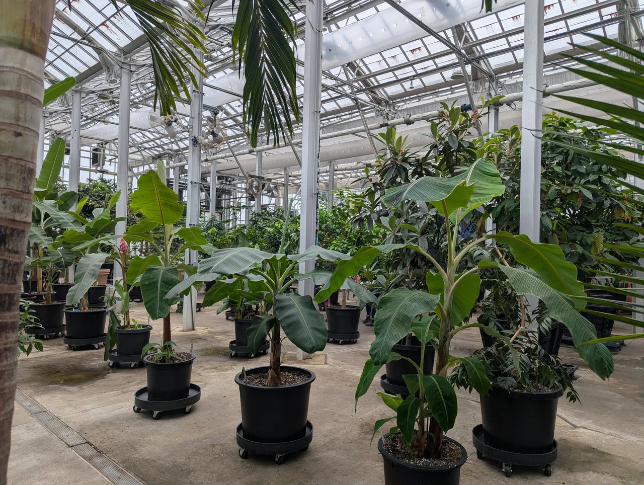 The U.S. Botanic Garden's production facility in Blue Plains, Washington, D.C., during the 2026 open house. This is the high-ceilinged bay.