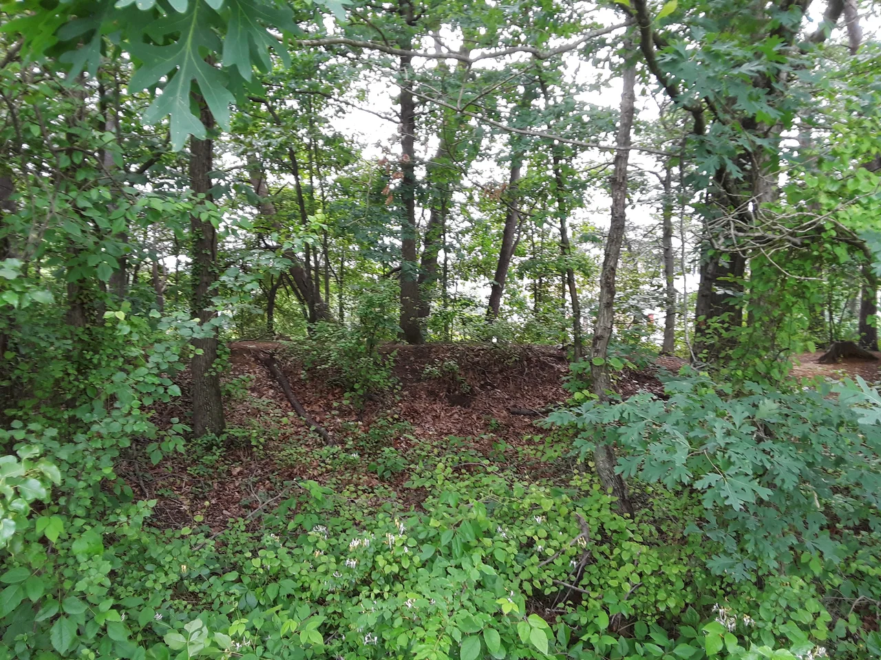 Civil War earthworks between Fort O'Rourke and Fort Farnsworth, Mount Eagle Park, Huntington (Fairfax County), Virginia.