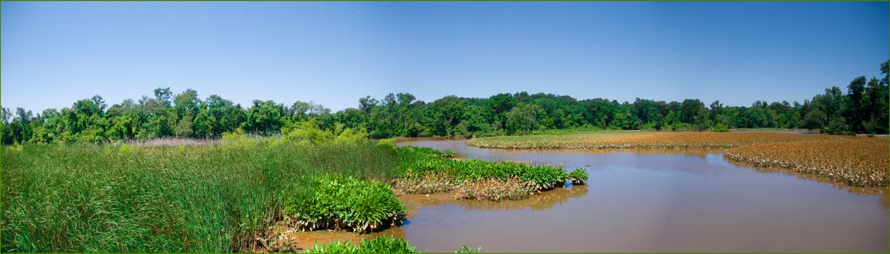 Image using a Photoshop panorama effect.