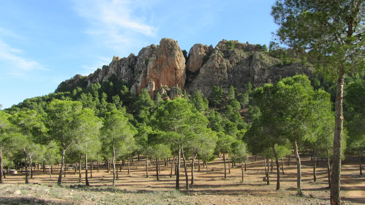Cresta del Gallo Mountain. Murcia. Spain.