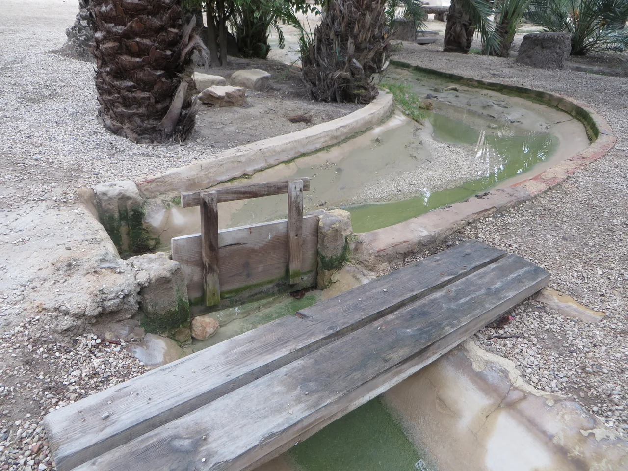 The Palmeral of Elche - a park and world heritage site in Alicante.