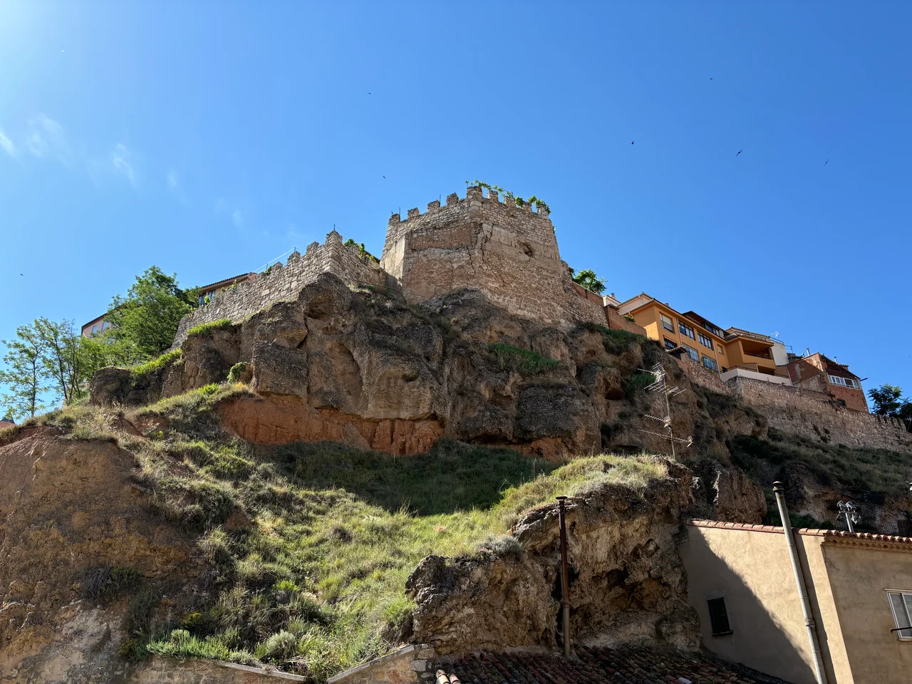 -Dinópolis