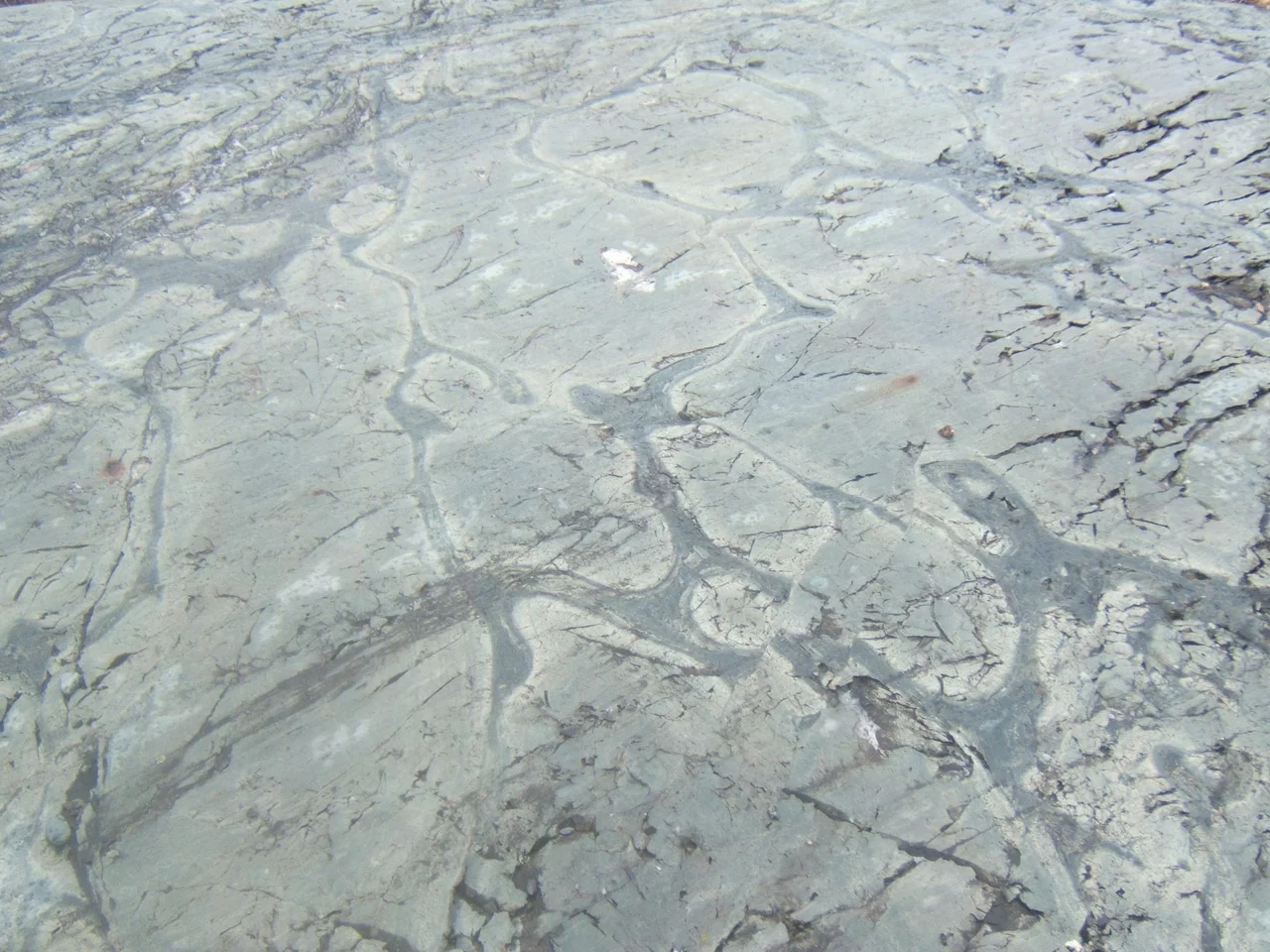 Weathered Precambrian pillow lava in the Temagami greenstone belt of the Canadian Shield in Eastern Canada.