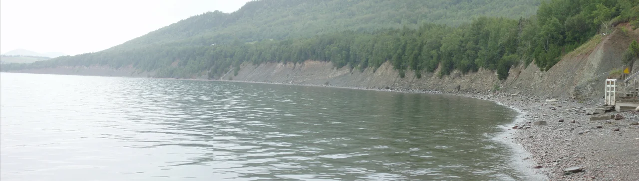 Falaise du Parc national de Miguasha (Québec), dans laquelle affleurent les couches dévoniennes riches en fossiles de poisson.
Cliff of the Miguasha National Park (Québec), with the Devonian beds that are rich in fish fossils.