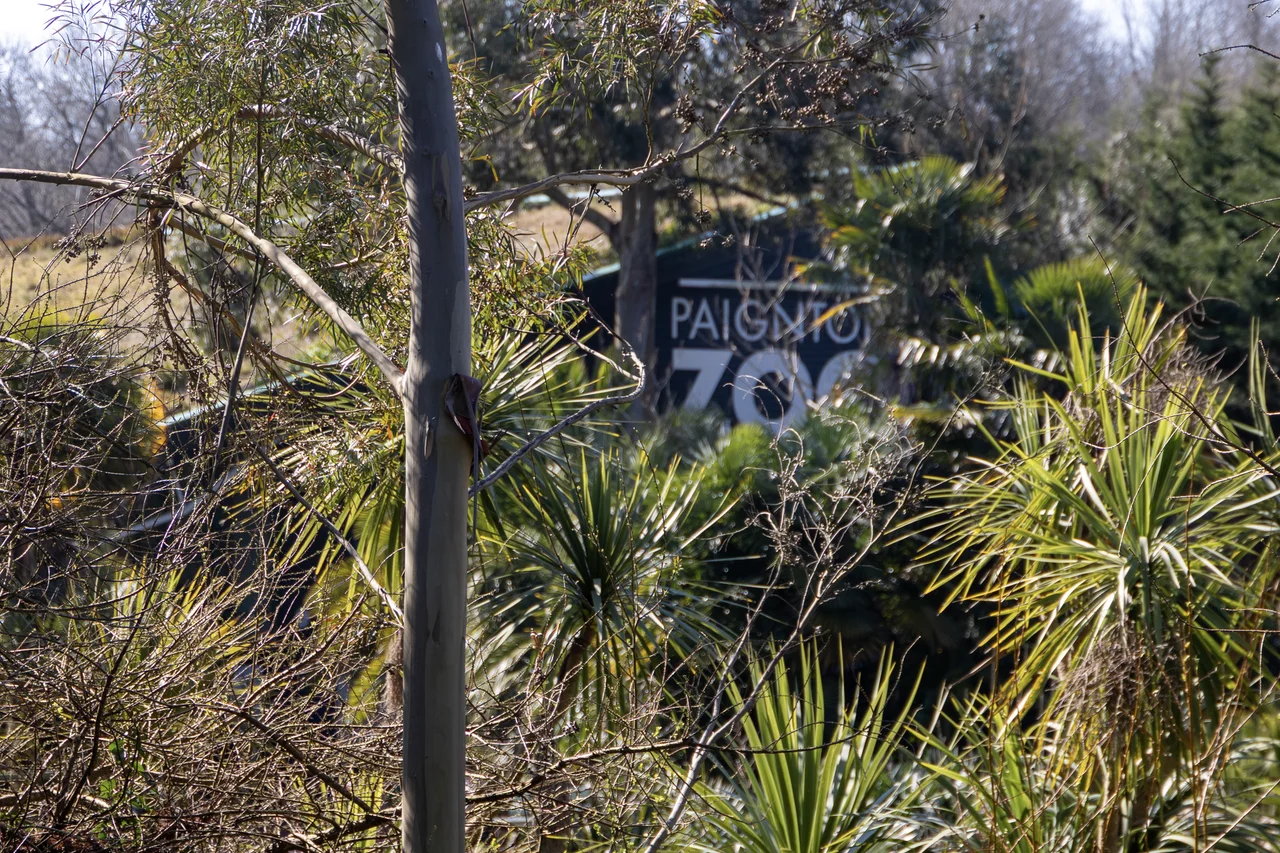 The main entrance to Paignton Zoo, showing the building sign surrounded by palm trees at the zoo in Paignton, Devon, England
