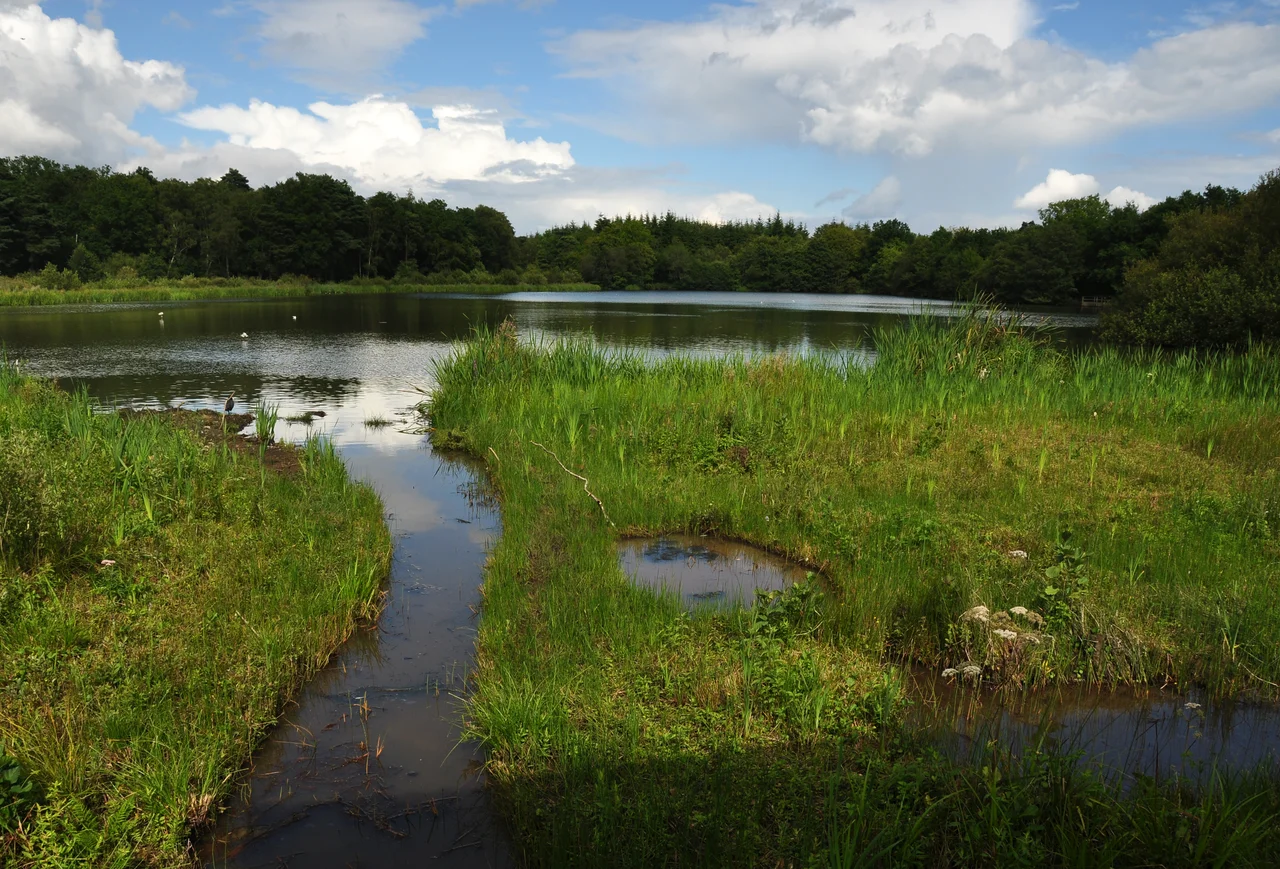 Stover Lake, near Newton Abbot in Devon.