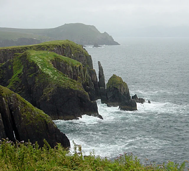 Stacks at Doonsheane Head A short section of coastal path, where access is (unusually for this area) permitted for walkers, gives some precipitous views down the cliffs to the surging sea, particularly around this geo at Doonsheane Head where the waves have cut deeply into the cliffs, isolating a group of stacks. In the further distance, Bull's Head has similar features, including a more isolated stack.
