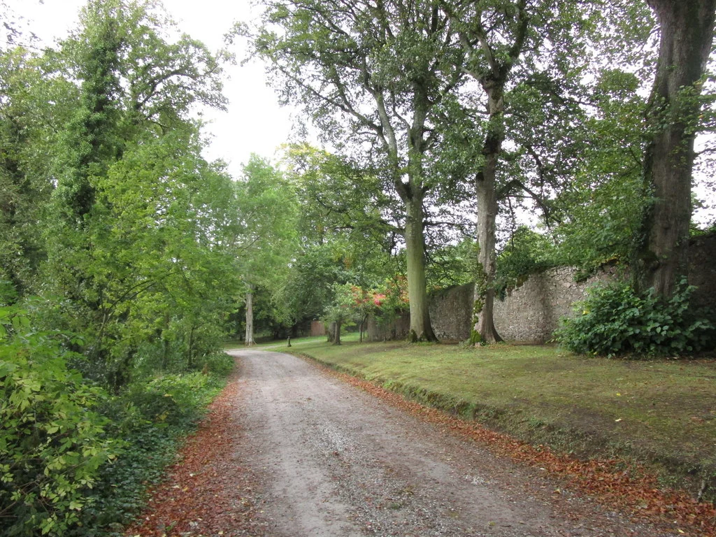 Castle Widenham, driveway and bawn wall
