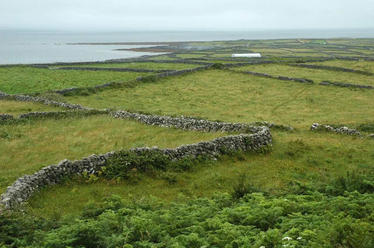 Endless pastures on the coast, Inis Mór.
