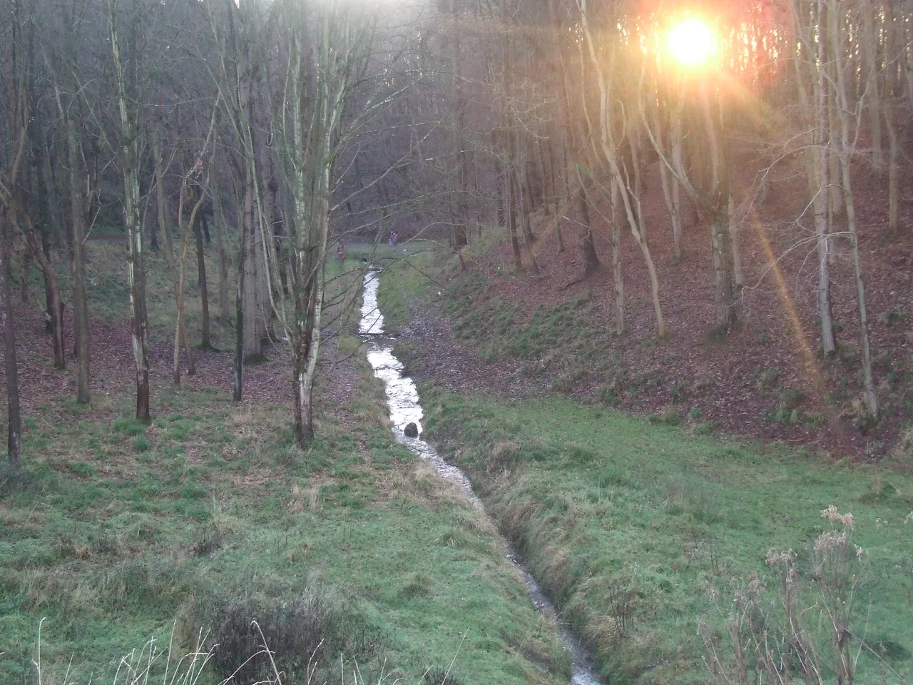 The Furry Glen area of the Phoenix Park, Dublin. The stream forms the boundary between the townland of Chapelizod (on the left) and the townland of Castleknock-Phoenix Park (on the right). Sunset on 3 January 2015.