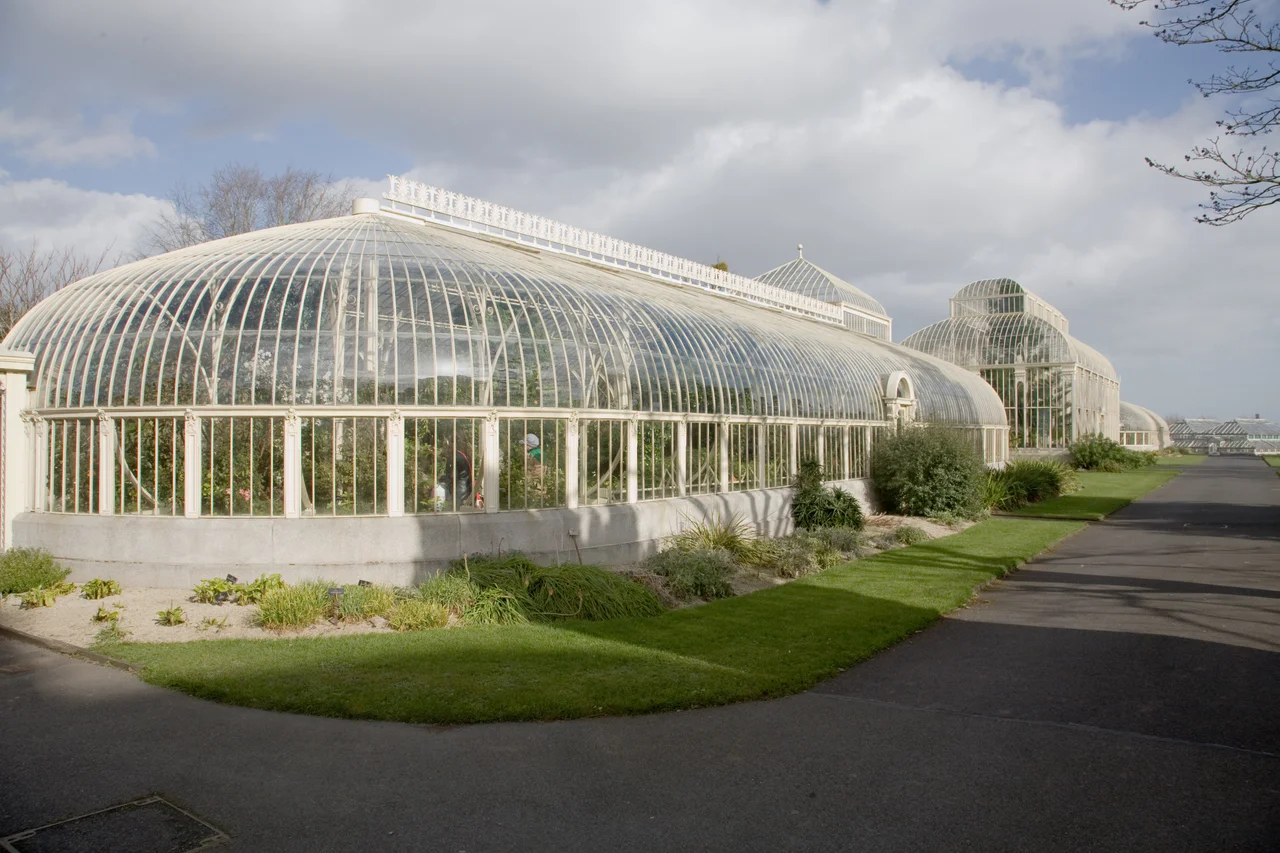 The Irish National Botanic Gardens, Glasnevin, Dublin, Ireland. The Curvilinear Range of Glasshouses at the national Botanic Gardens were constructed between 1843 and 1869 and designed by native Dubliner Richard Turner. He was also responsible for designing the Glasshouse at Kew Gardens (England) and Belfast (N. Ireland) but both of these have been 'restored' with the use of steel. The Curvilinear Range was restored in 1995 with repairs carried out in the original wrought iron. Internally the houses feel amazingly light and even though, slim and elegant, much of the structure had decorative elements.