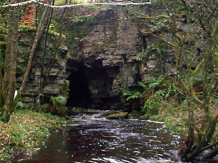 Photograph of quarry entrance of Boho Cave, Northern Ireland, in flood with stream running off, taken after wet weather; resurgence is elsewhere during periods of dry weather.