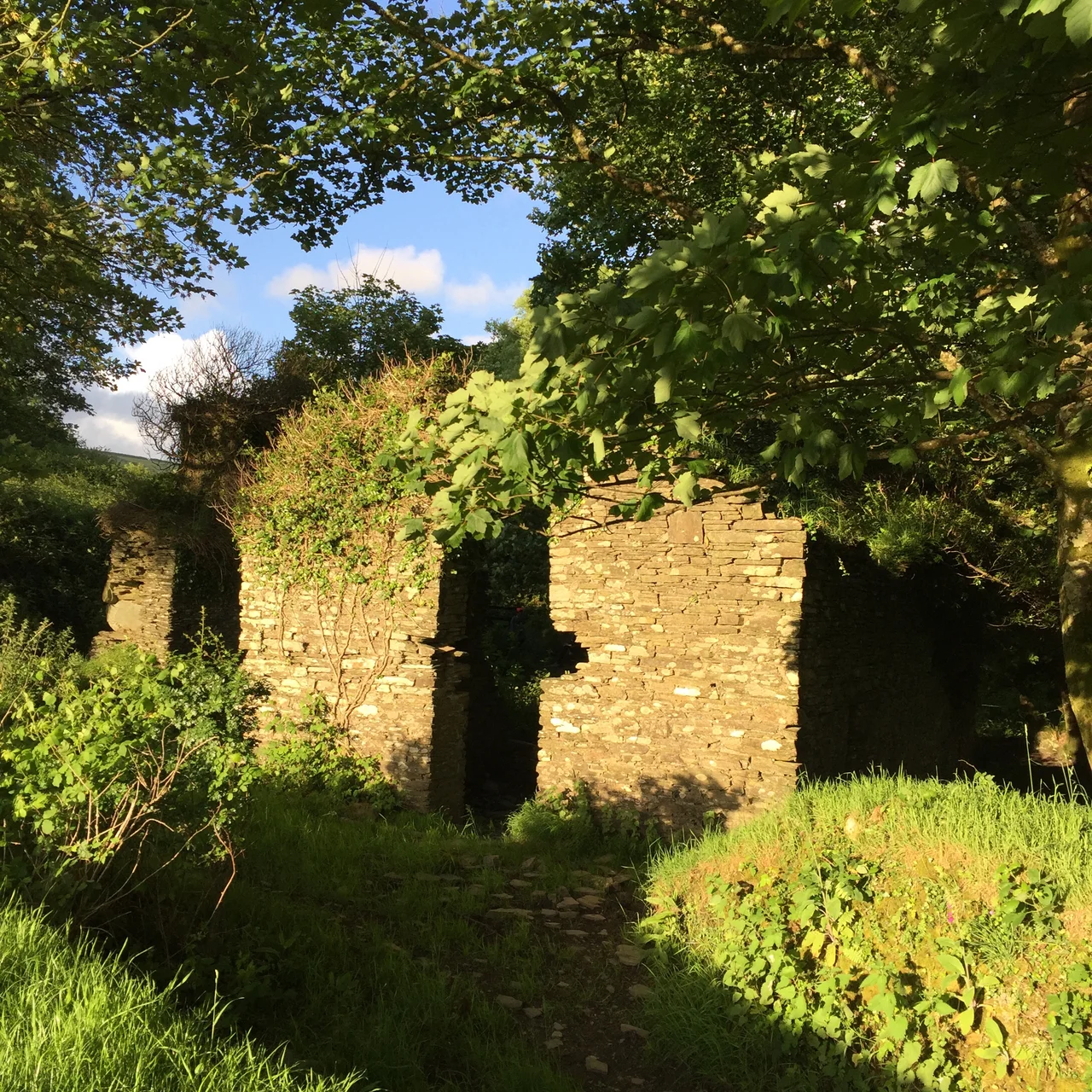 Ruins of Trevalga Mill