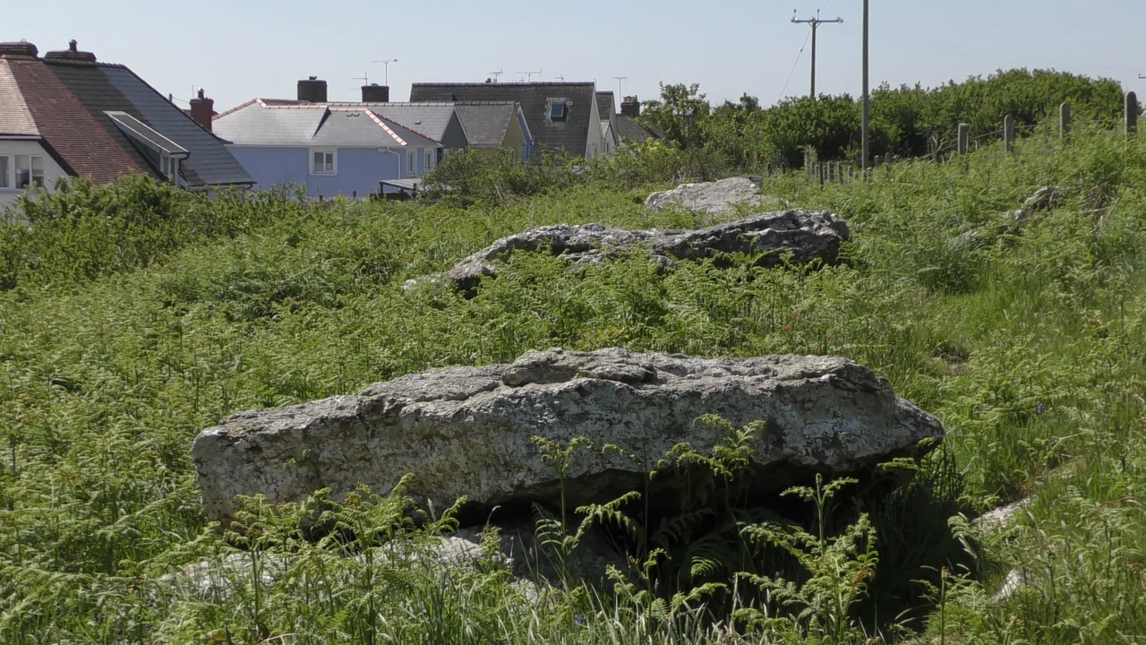 A line of cromlechs on the hillside above Fishguard Ferry Terminal