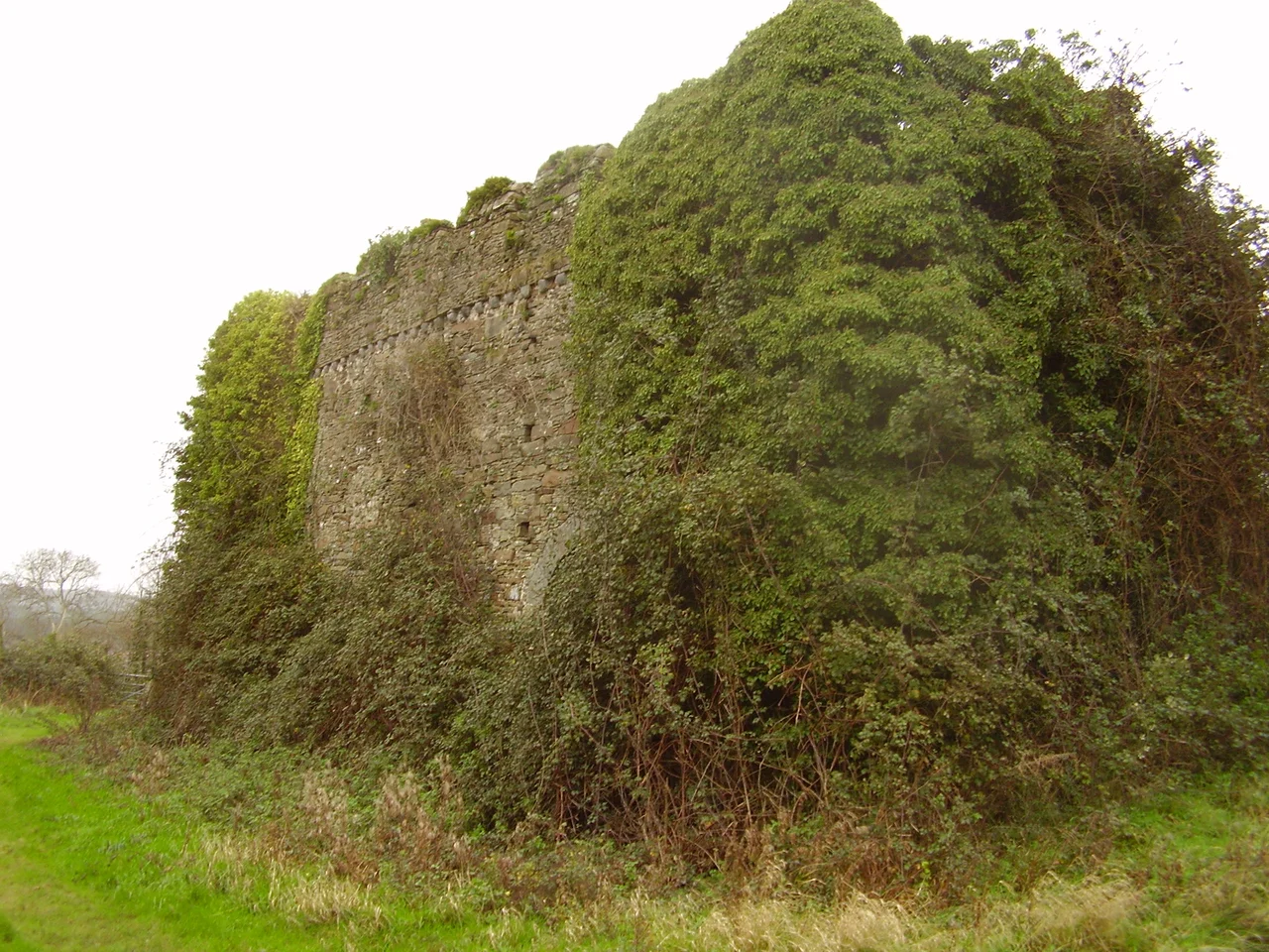 Court Farm, Pembrey, Wales, south aspect of barn, 2007