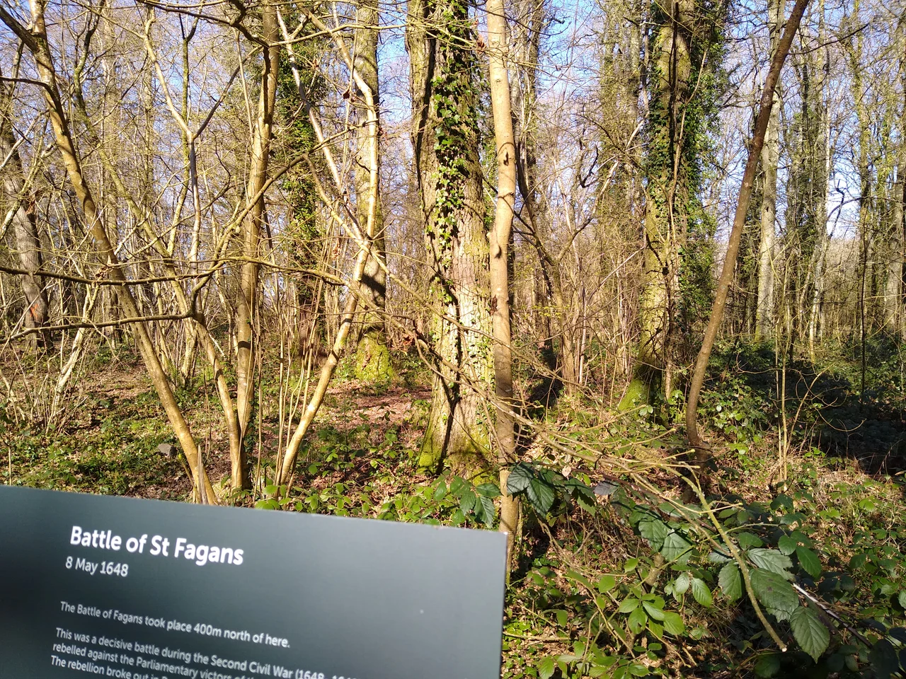Woods near where the Battle of St Fagans took place, photographed in 2022. According to the sign, the Battle of St Fagans took place about 400 meters north of this spot.